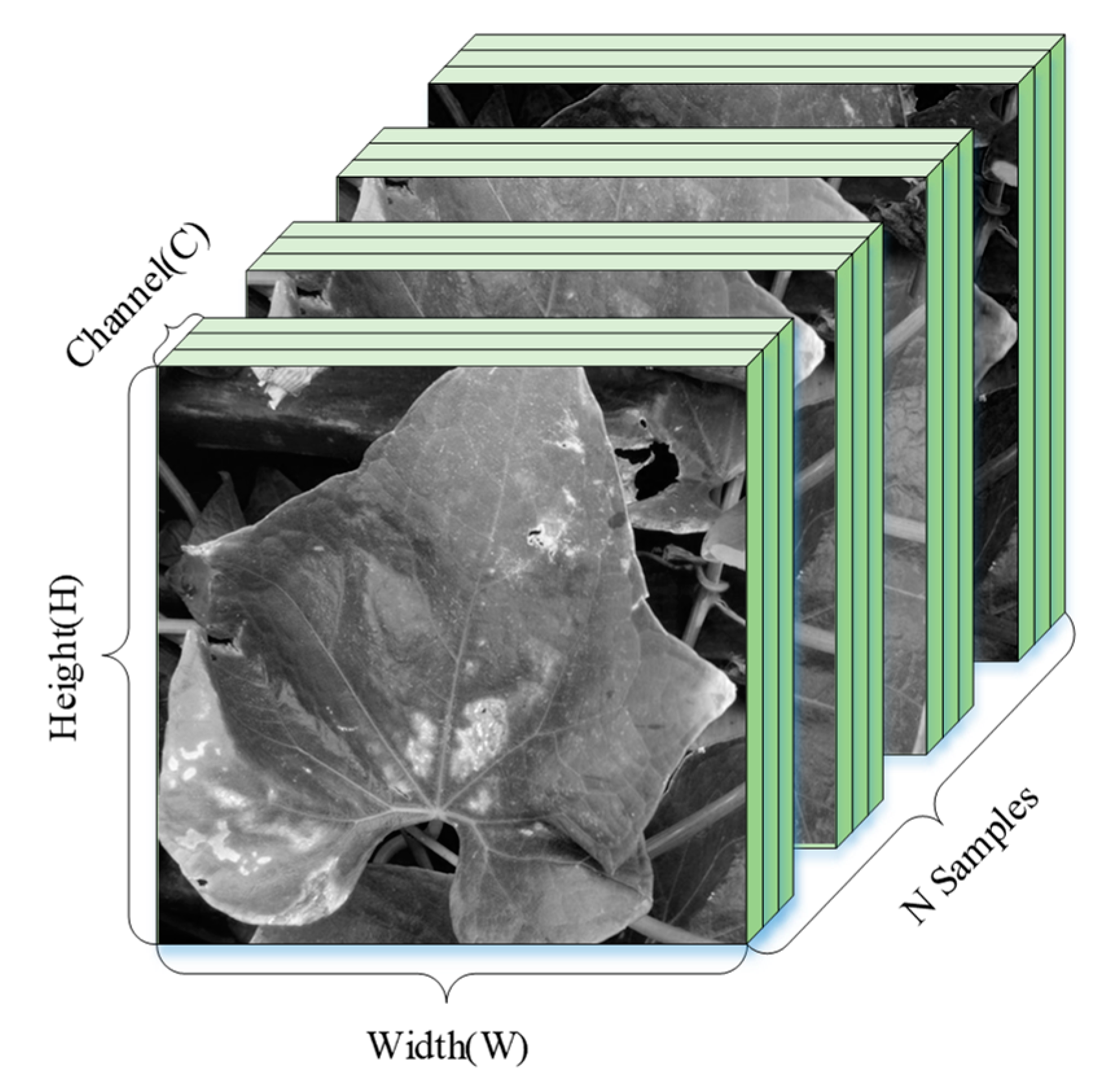 Agriculture 11 00707 g005