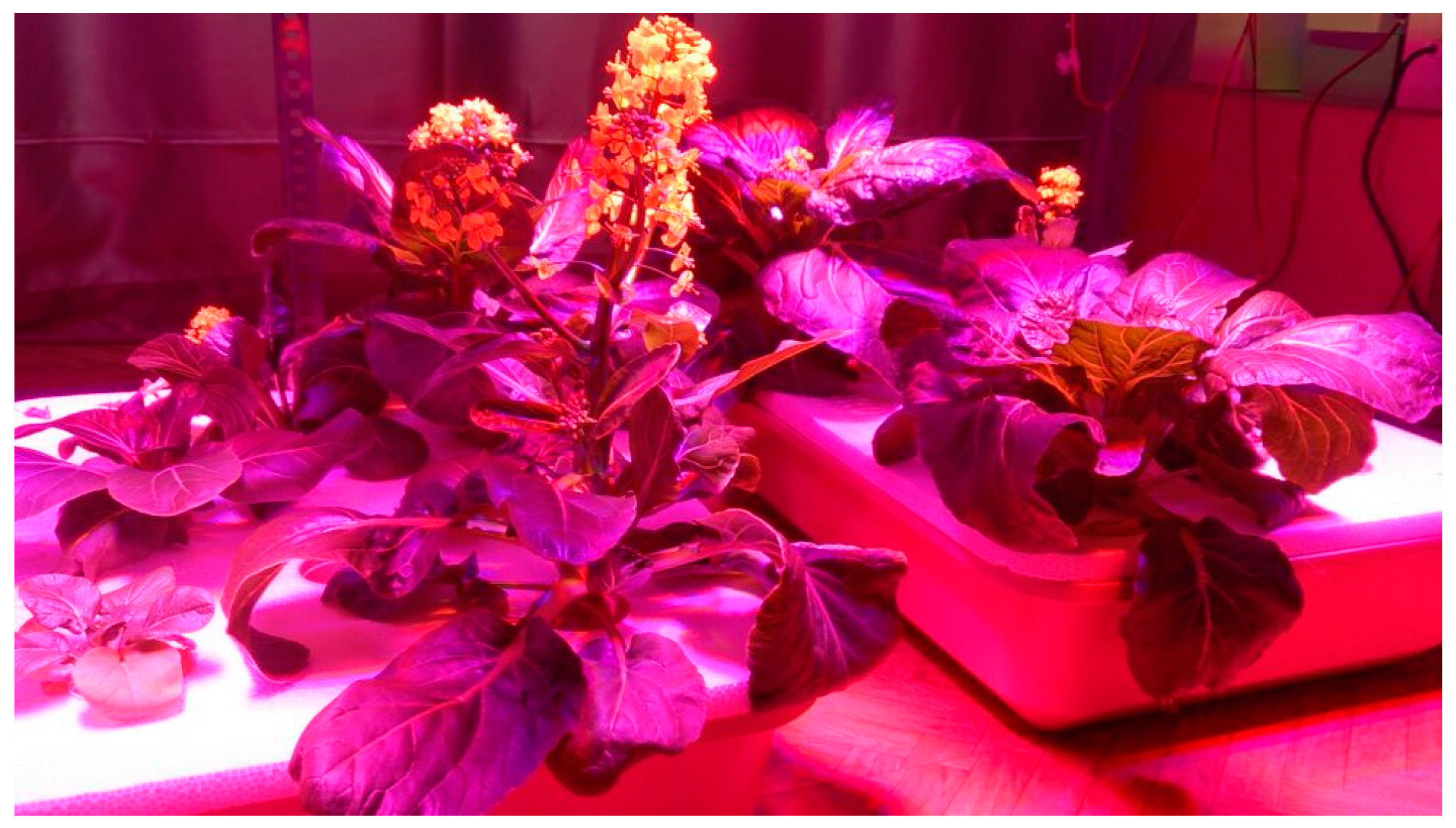 Agriculture 11 00728 g011