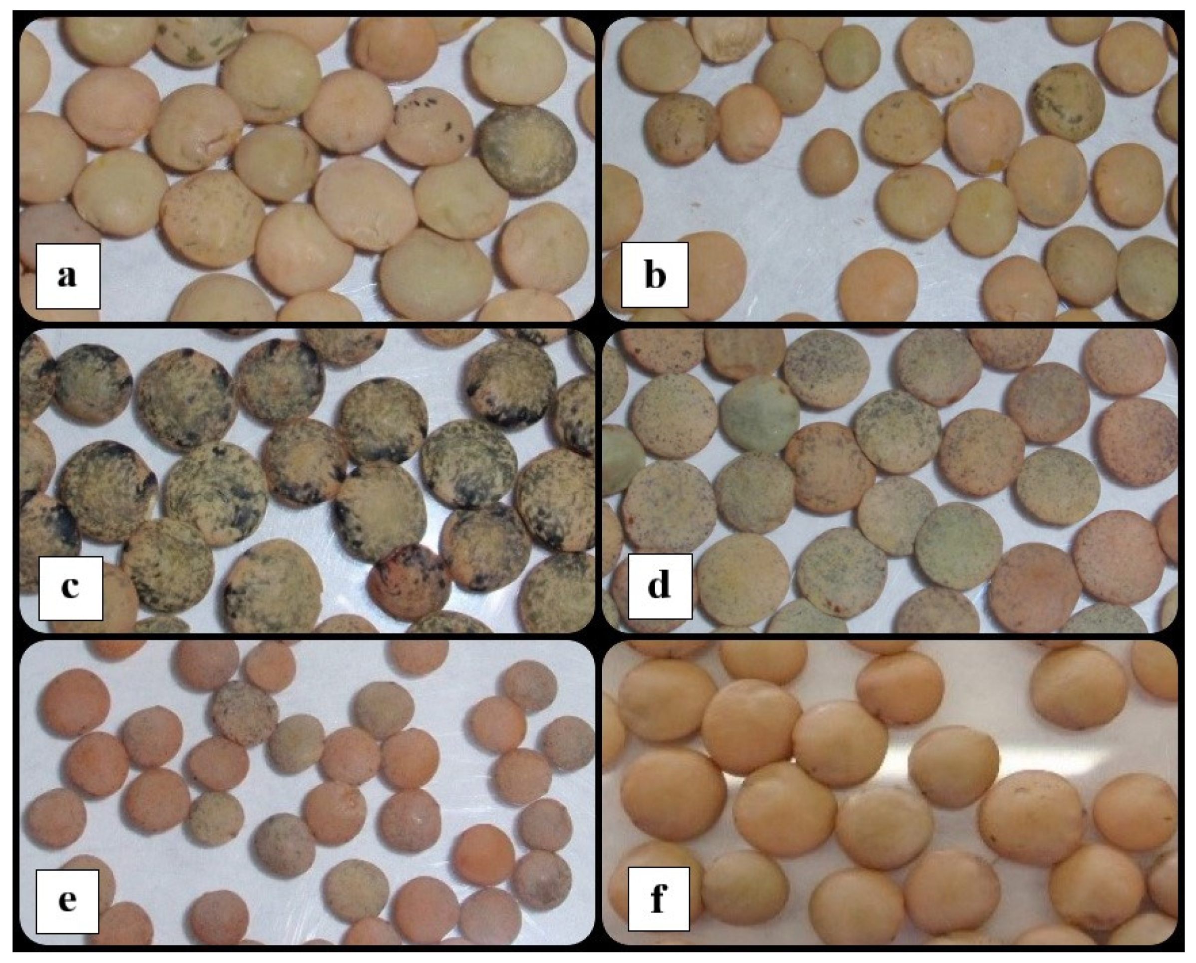 Agriculture 11 00741 g001