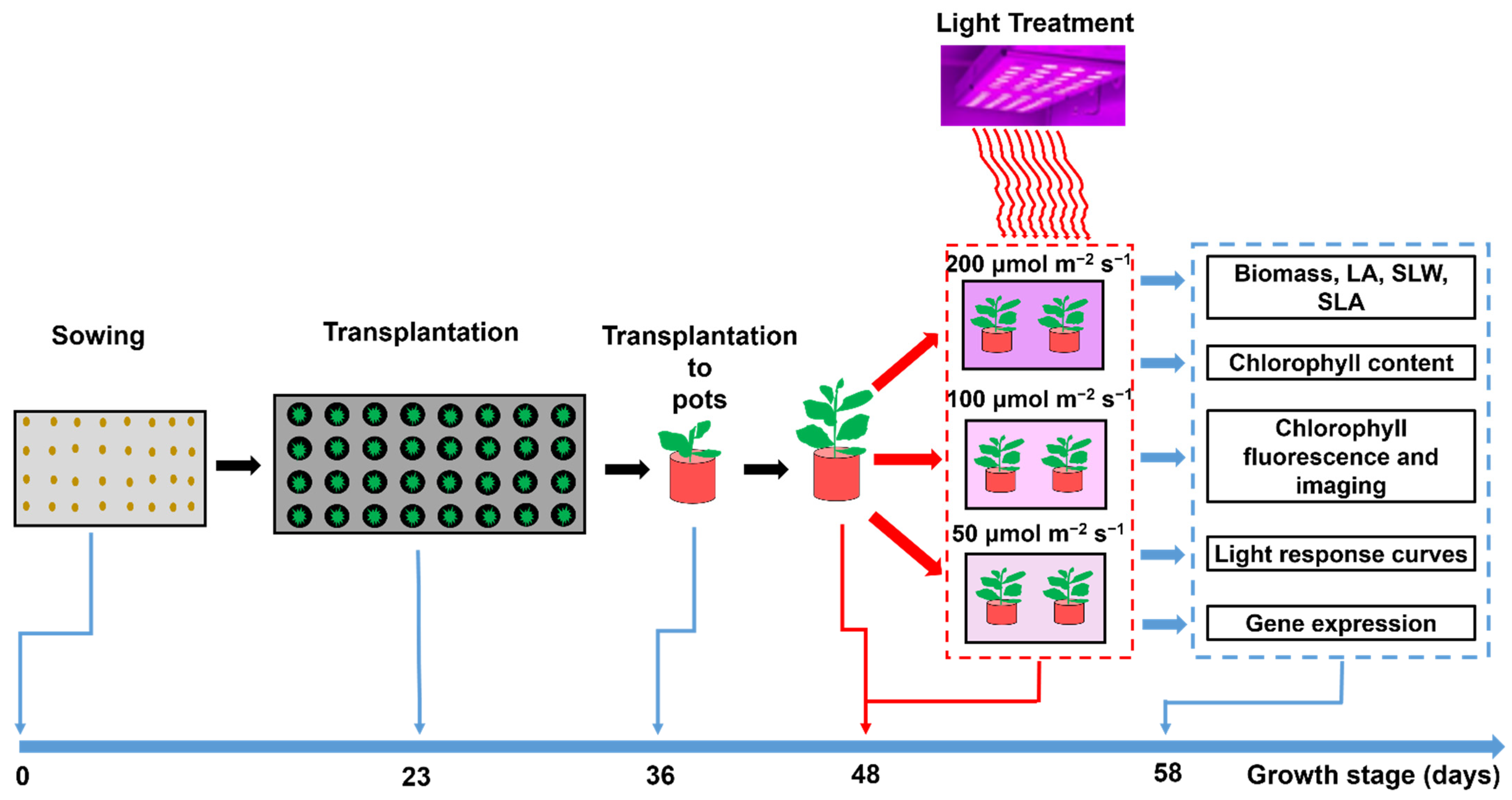 Agriculture 11 00755 g001