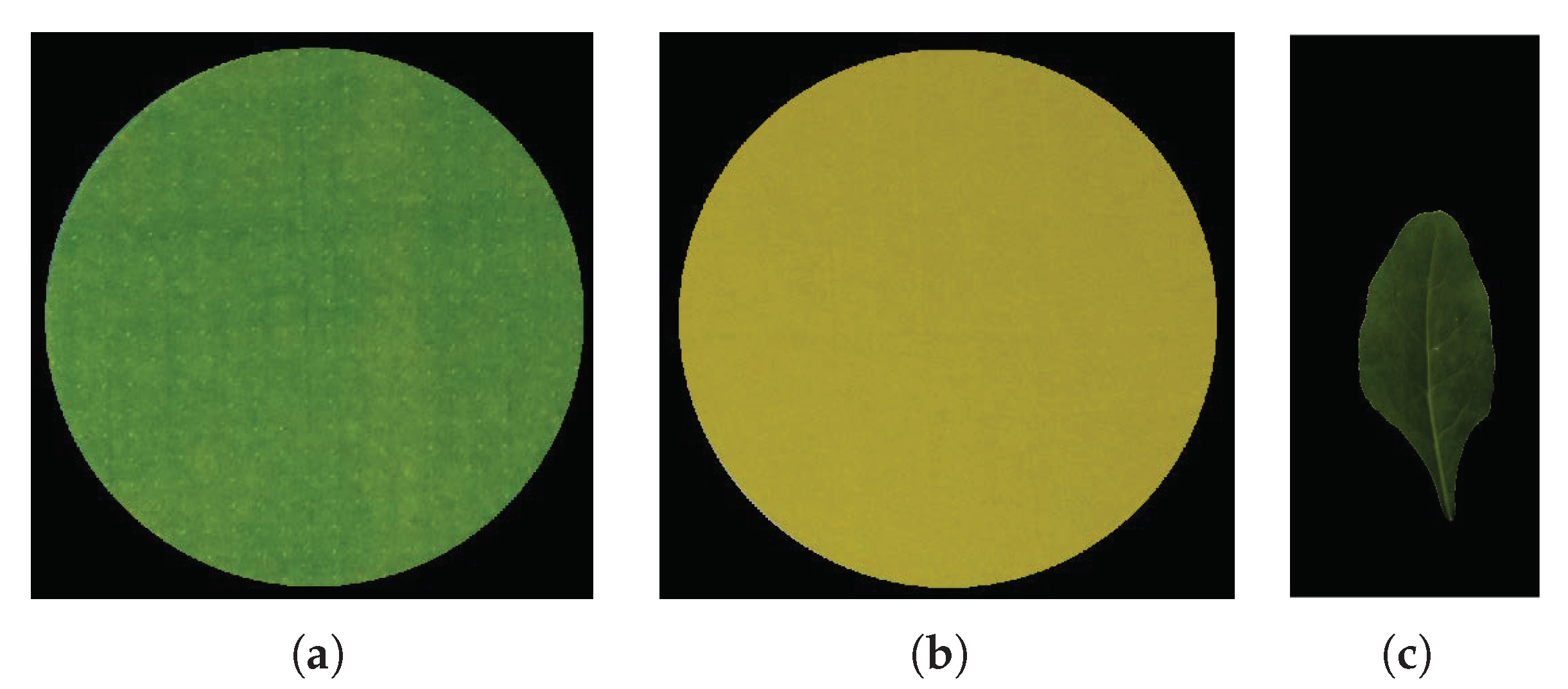 Agriculture 11 00766 g004