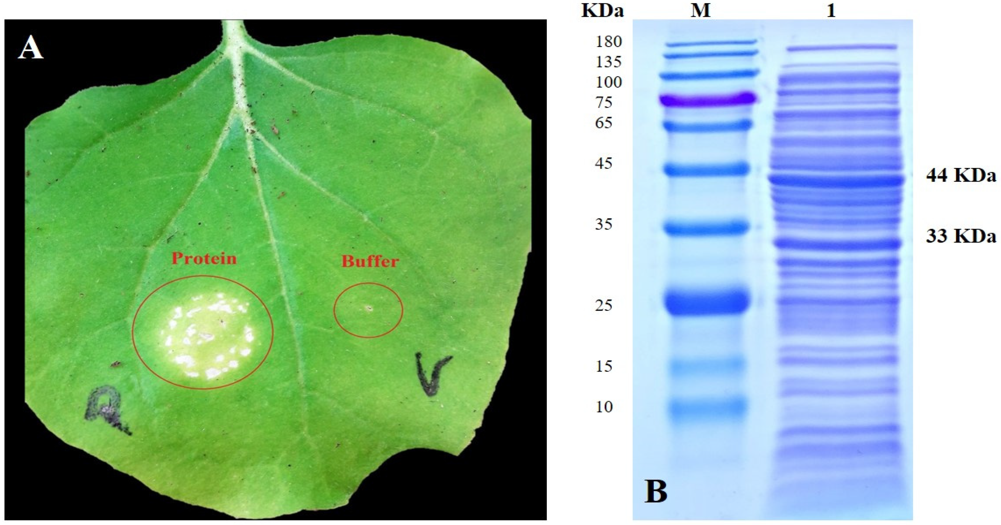 Agriculture 11 00778 g001