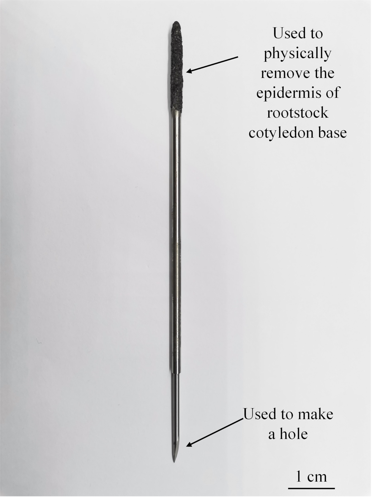 Agriculture 11 00812 g001