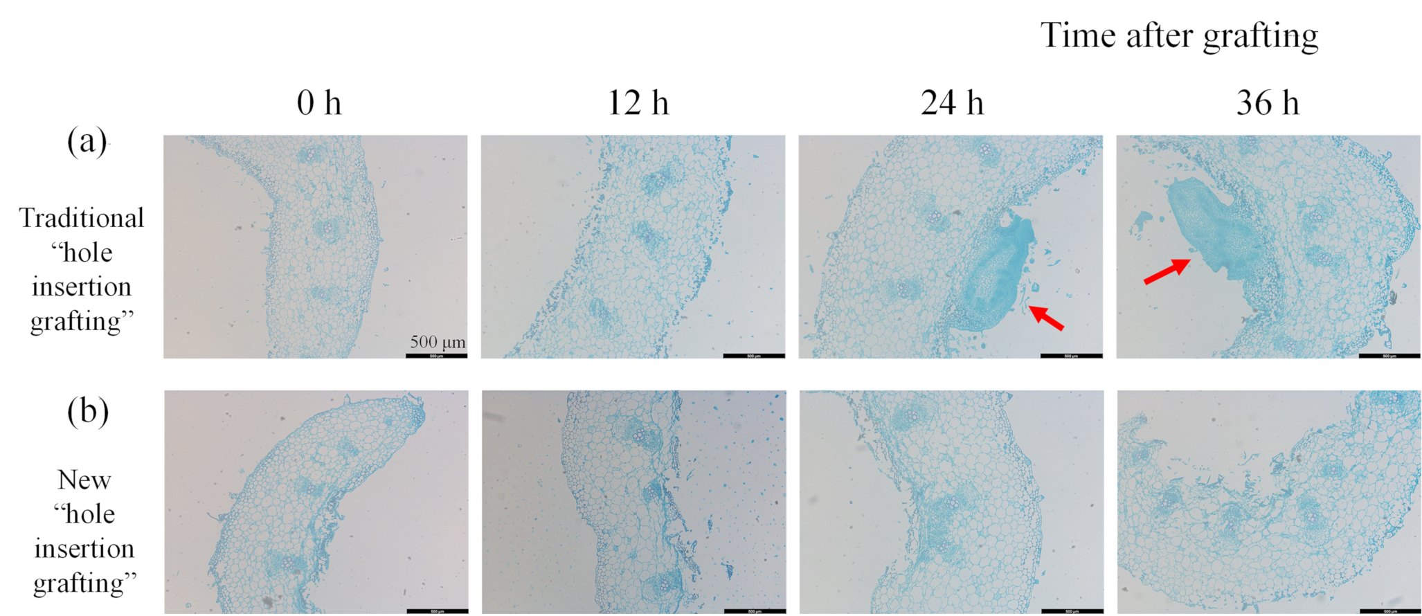 Agriculture 11 00812 g006