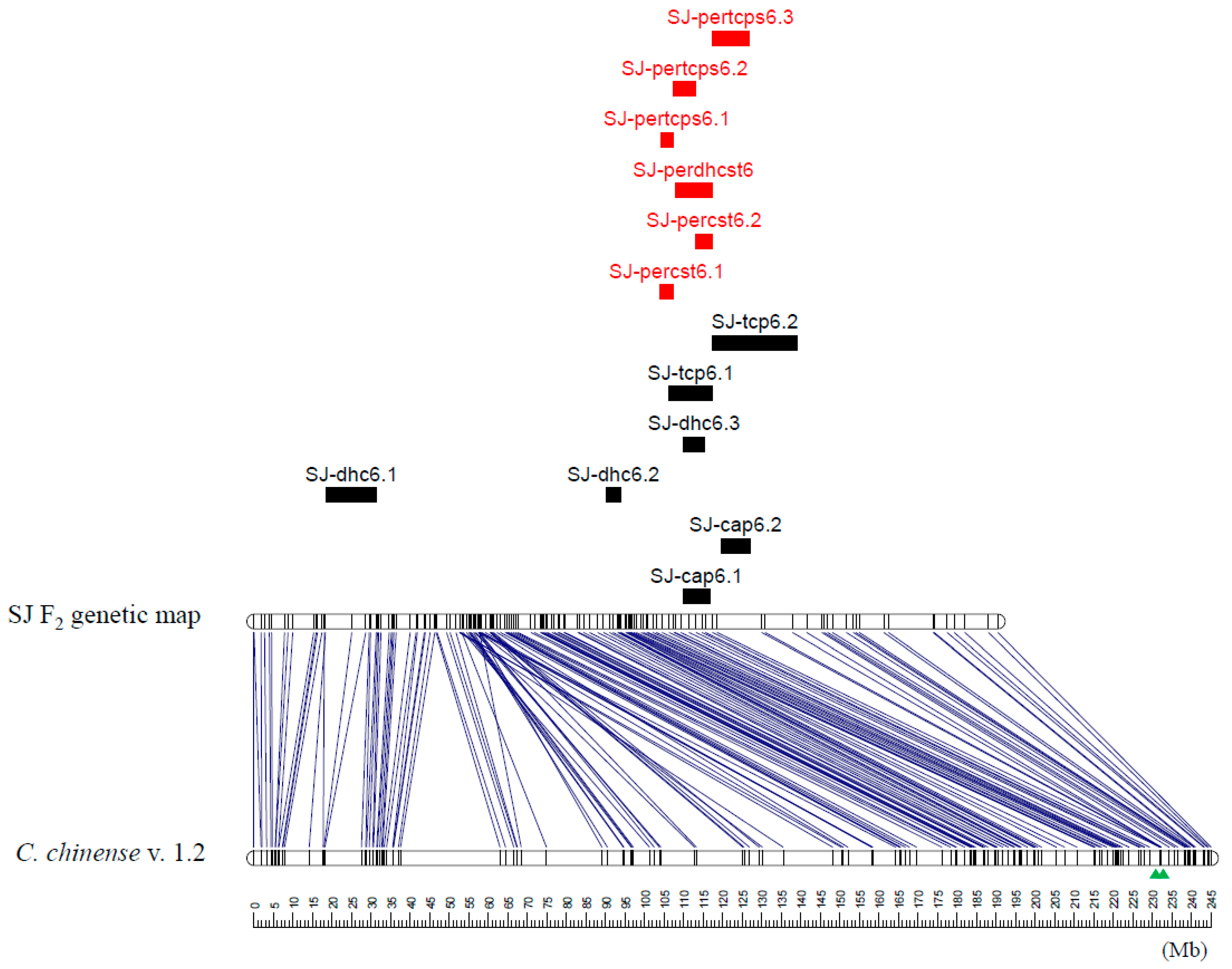 Agriculture 11 00819 g002 Agriculture 11 00819 g002