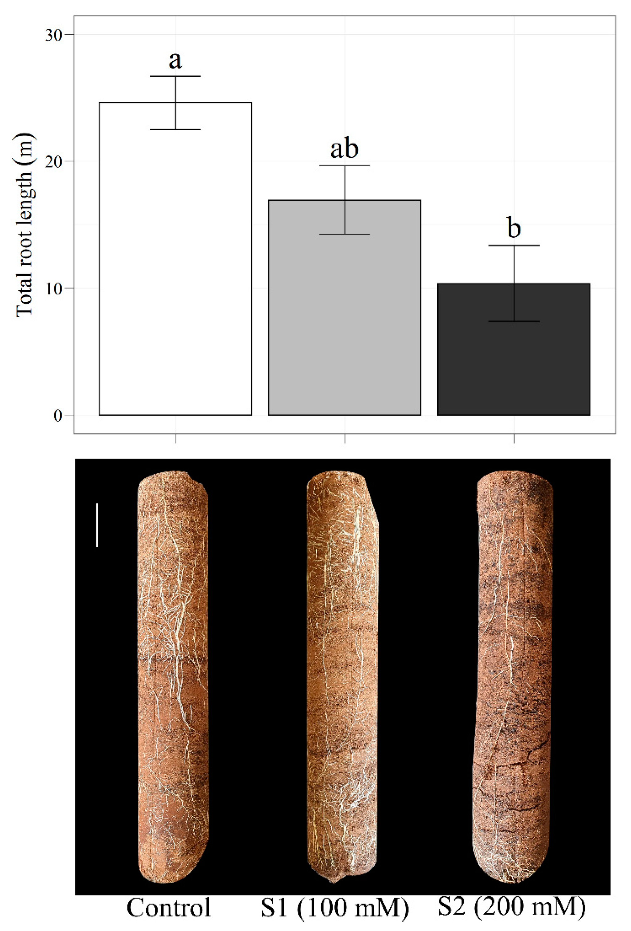 Agriculture 11 00821 g008