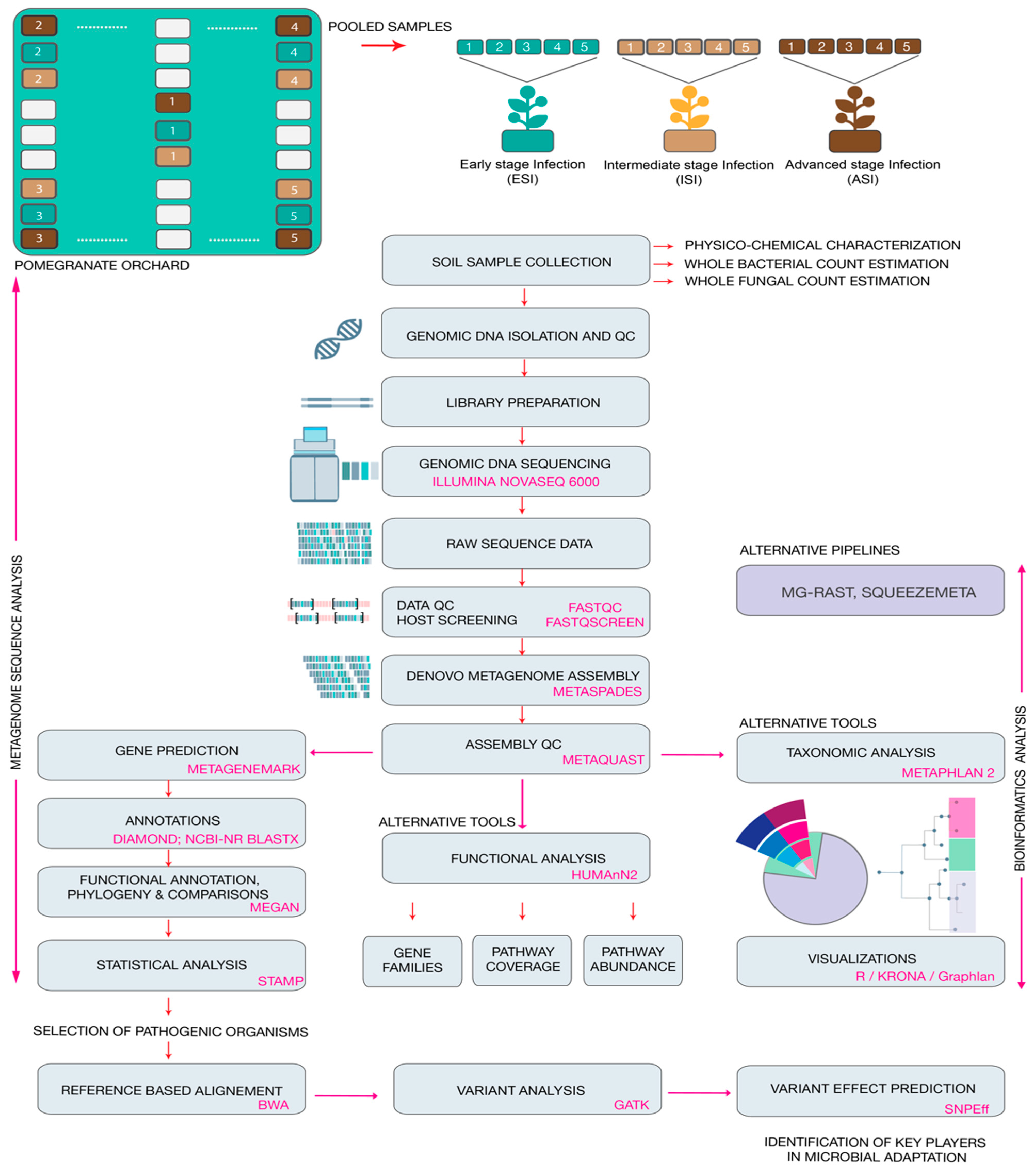 Agriculture 11 00831 g001
