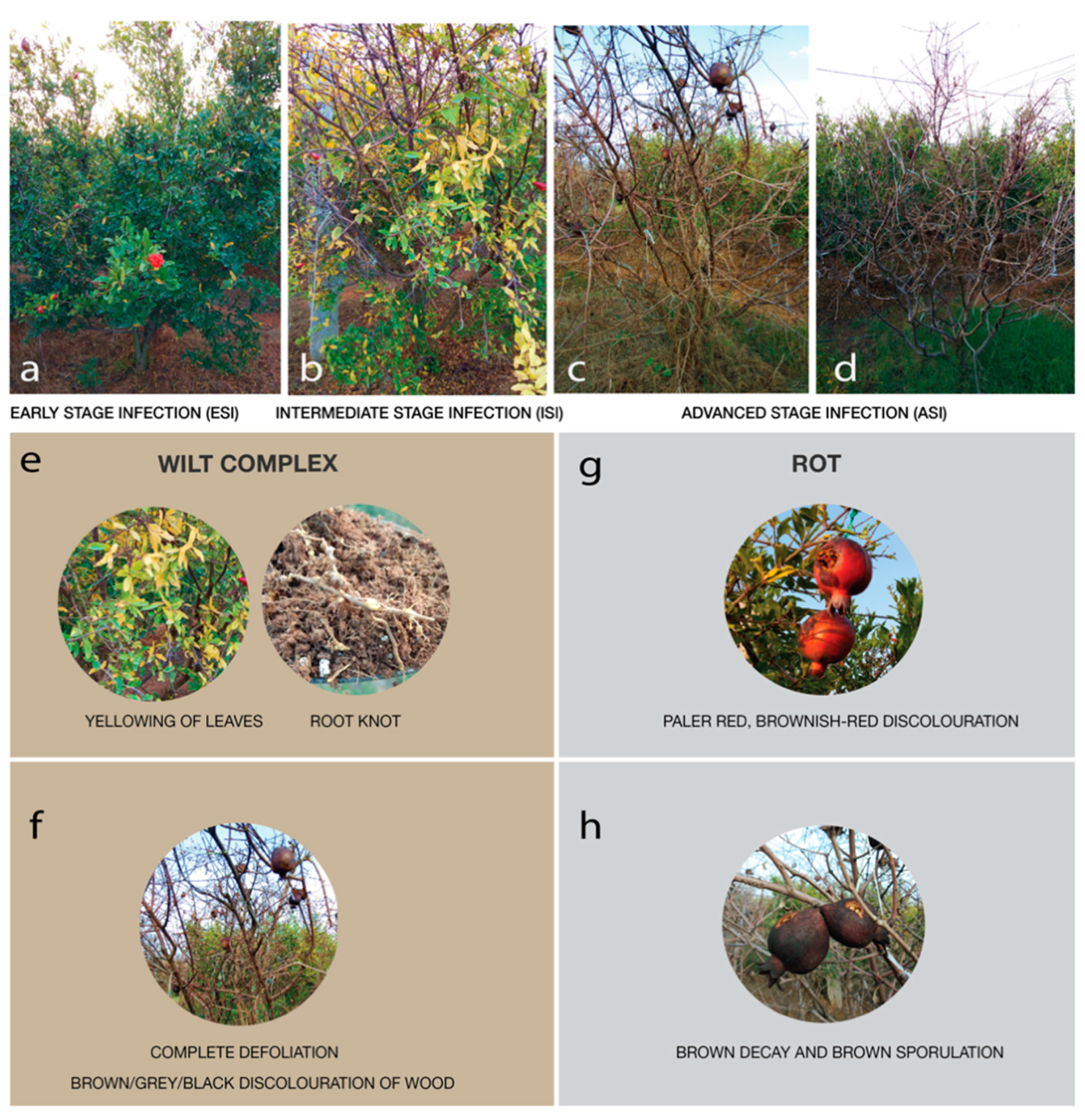 Agriculture 11 00831 g002