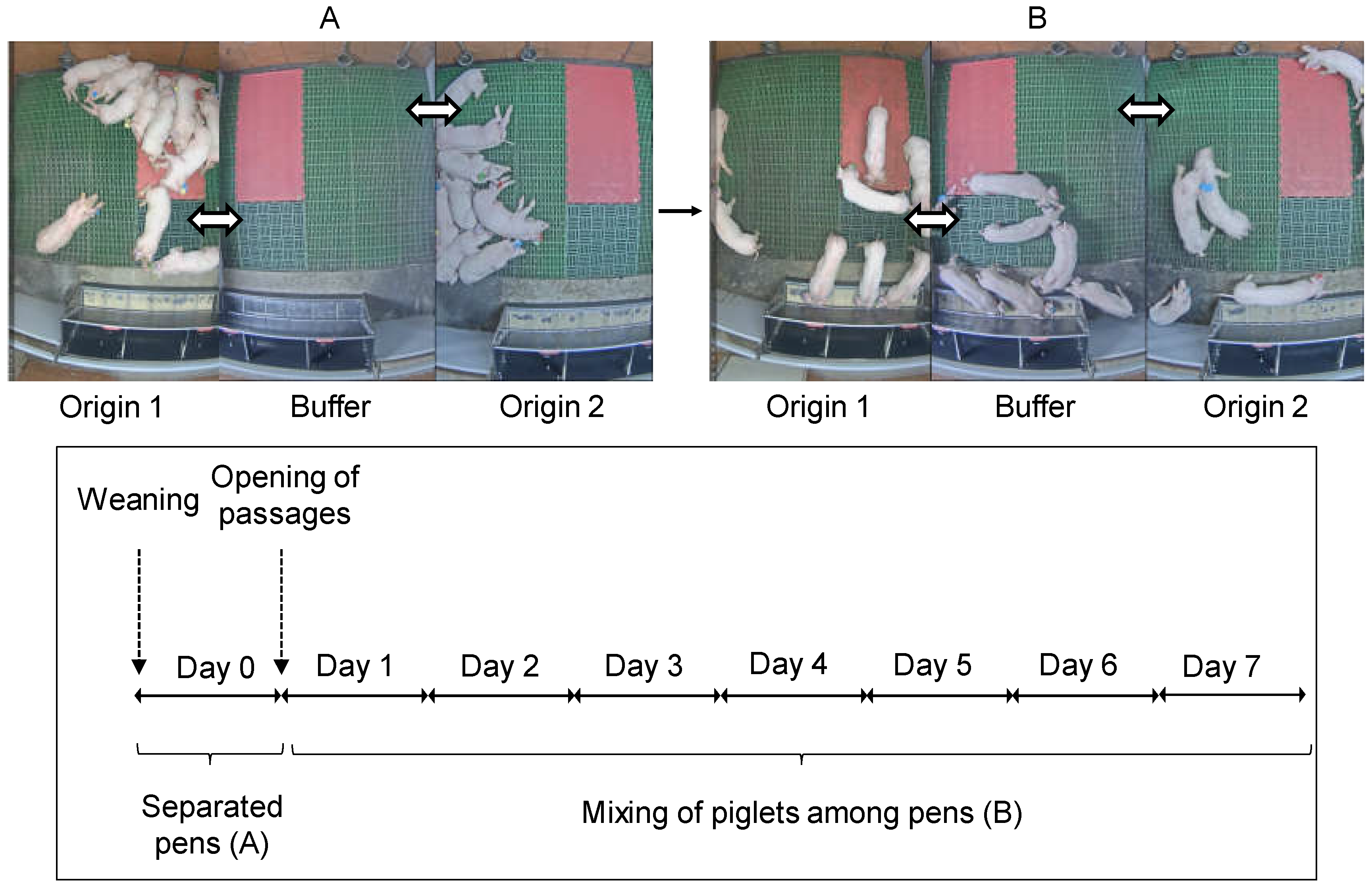 Agriculture 11 00844 g001