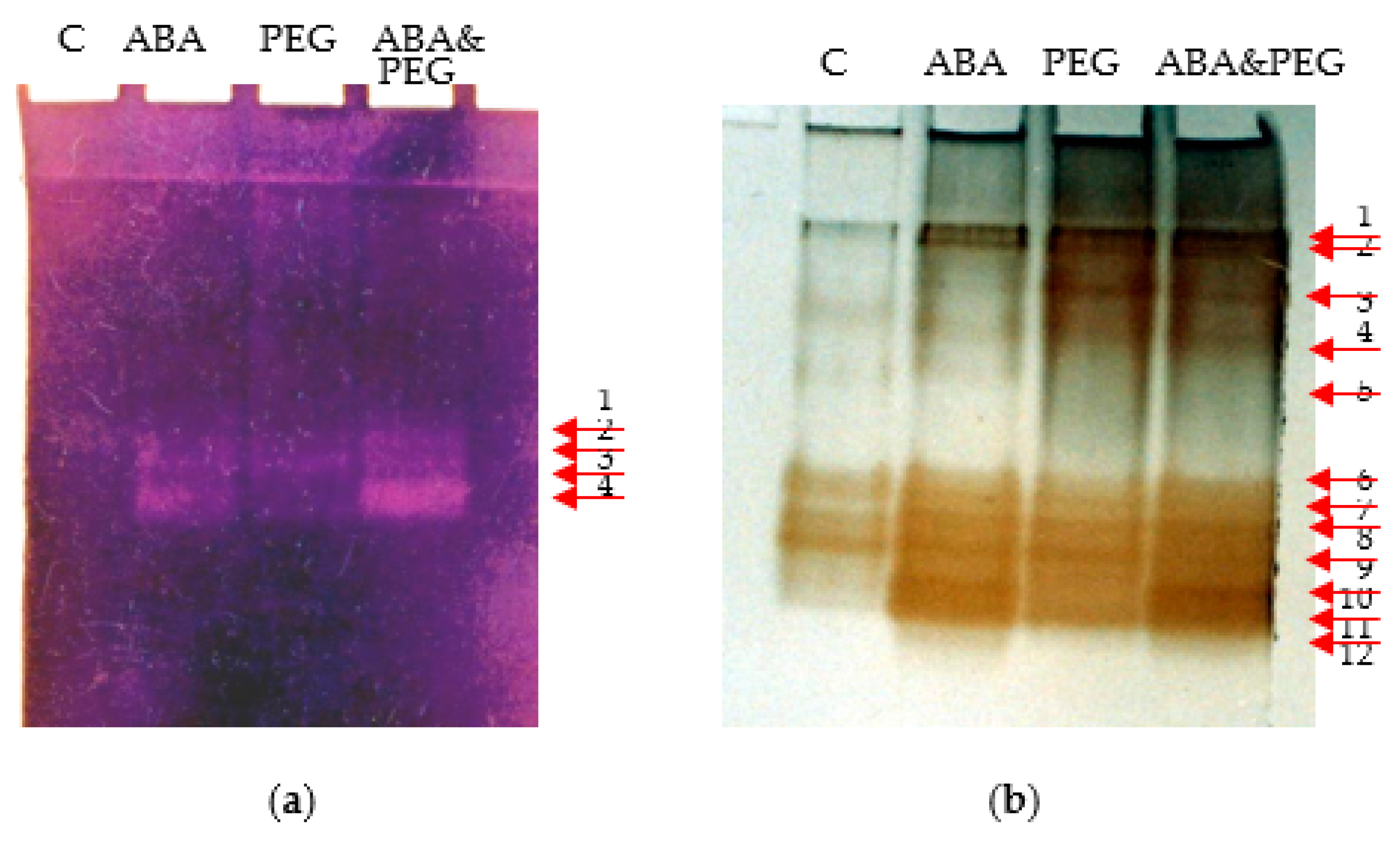 Agriculture 11 00845 g003