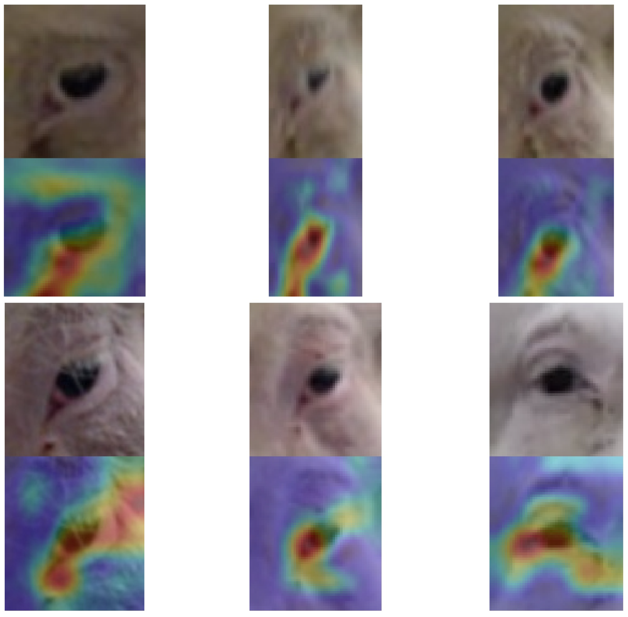 Agriculture 11 00847 g008