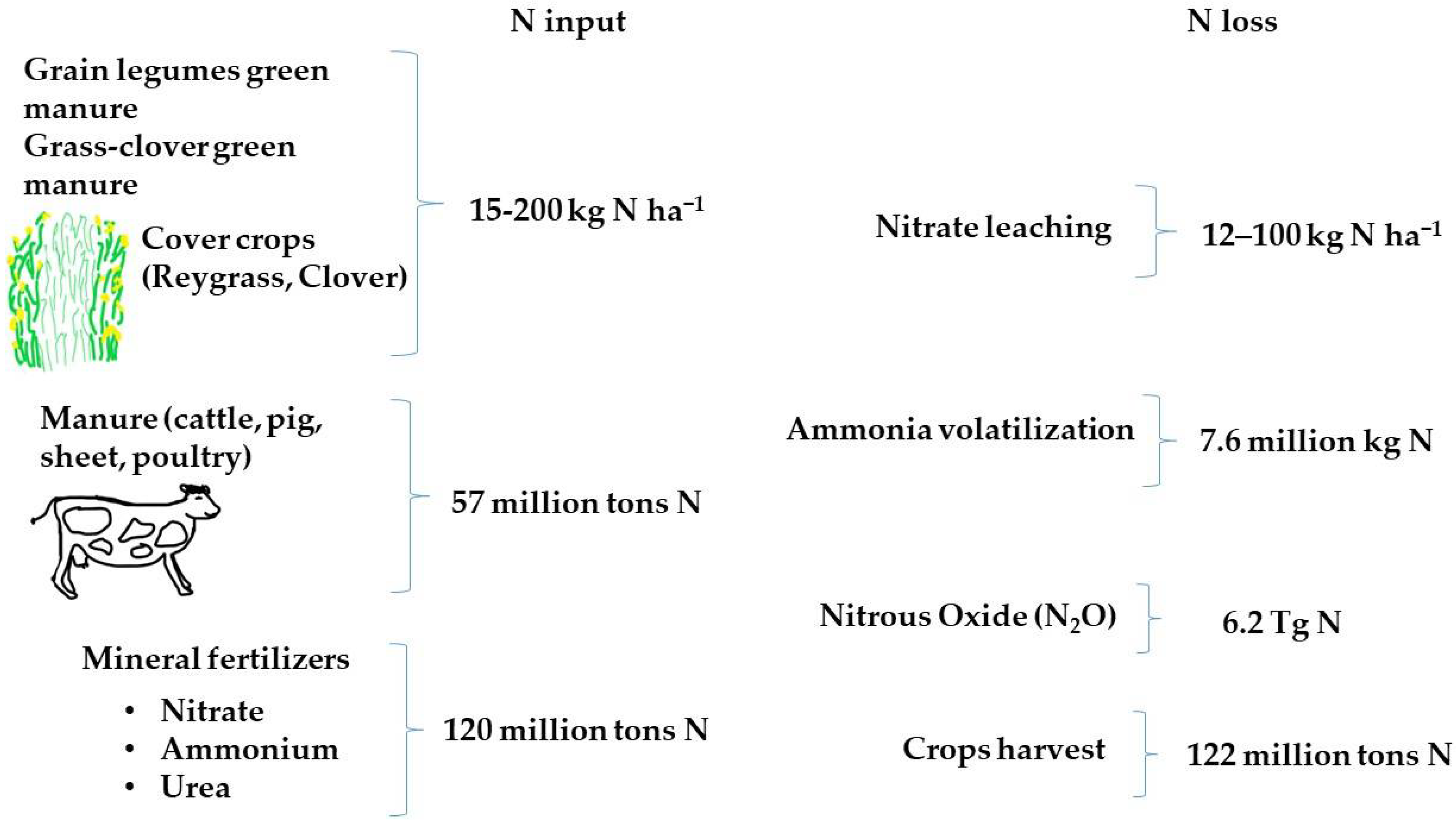 Agriculture 11 00944 g001