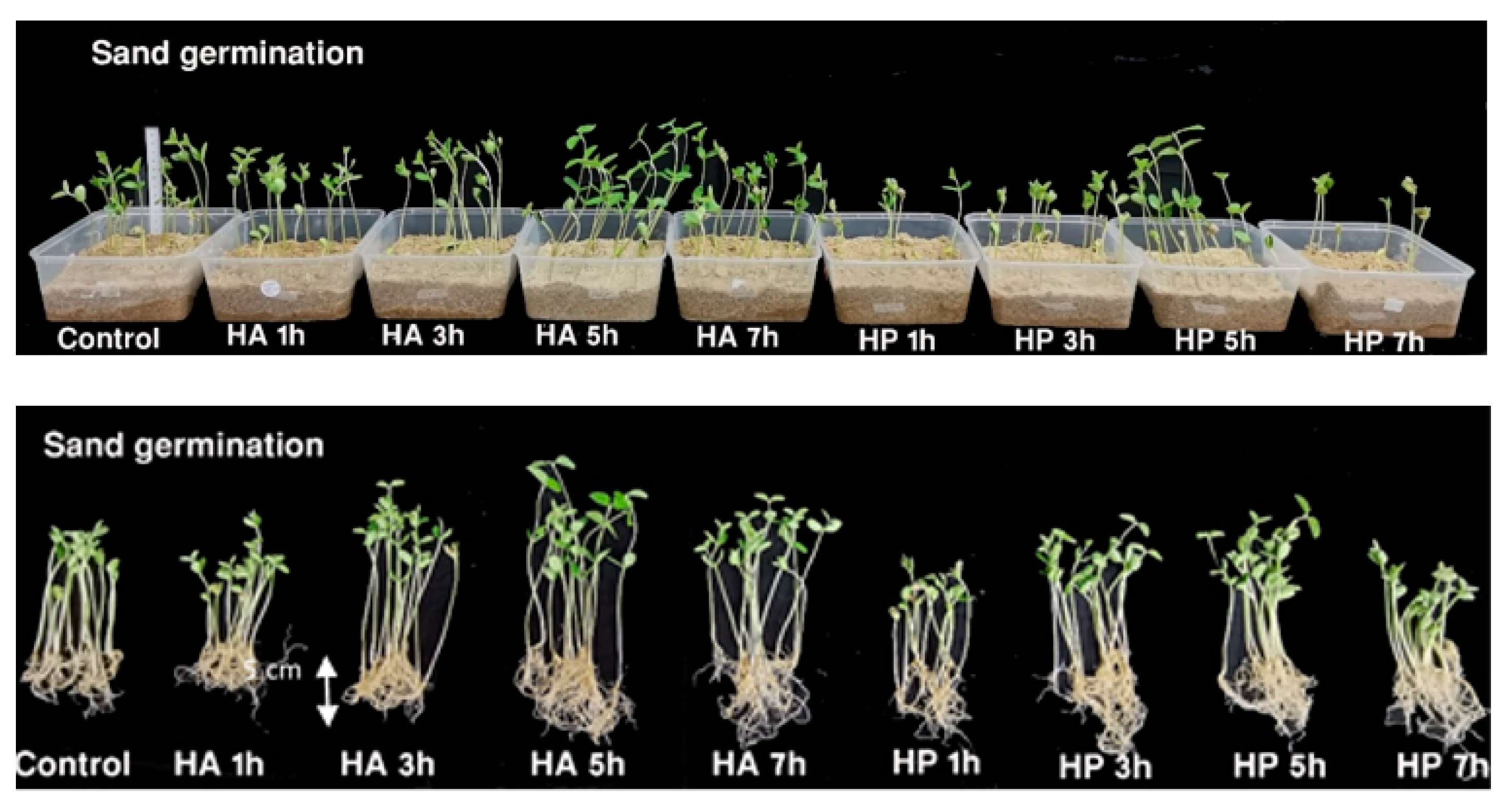 Agriculture 11 00966 g001