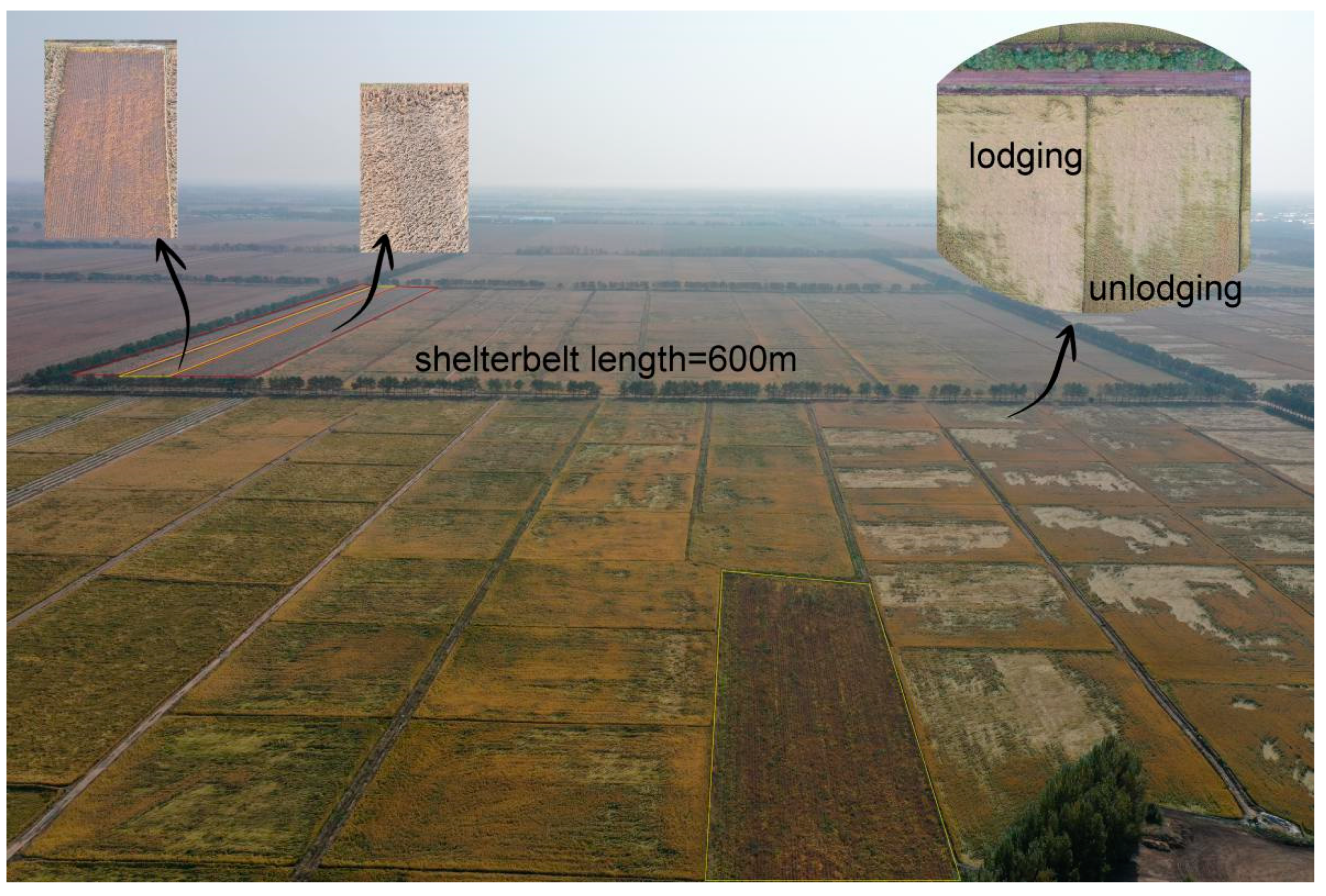 Agriculture 11 00995 g001