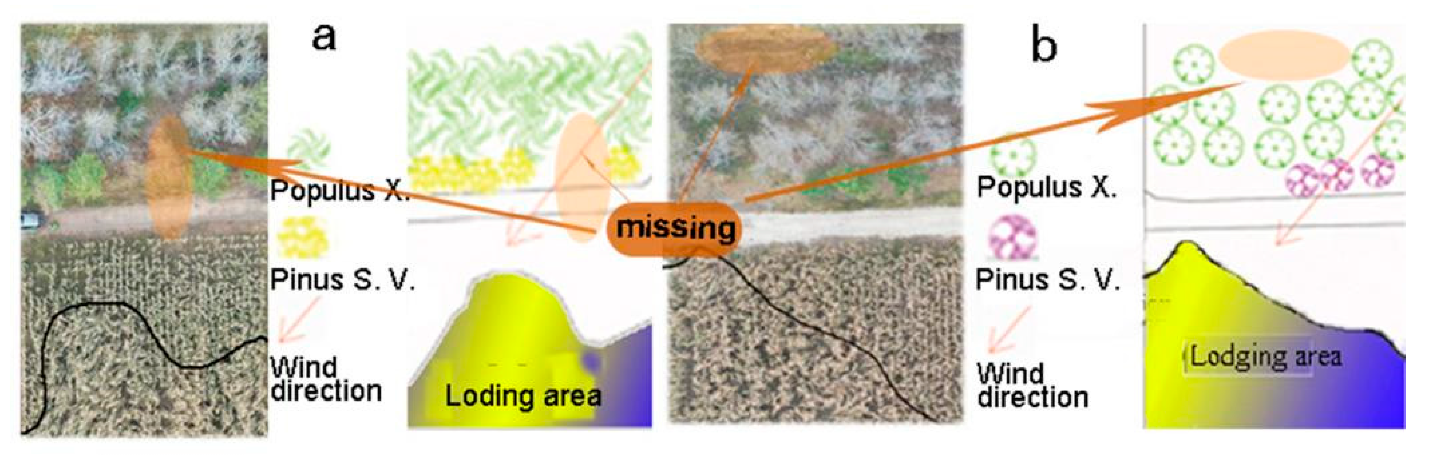 Agriculture 11 00995 g007