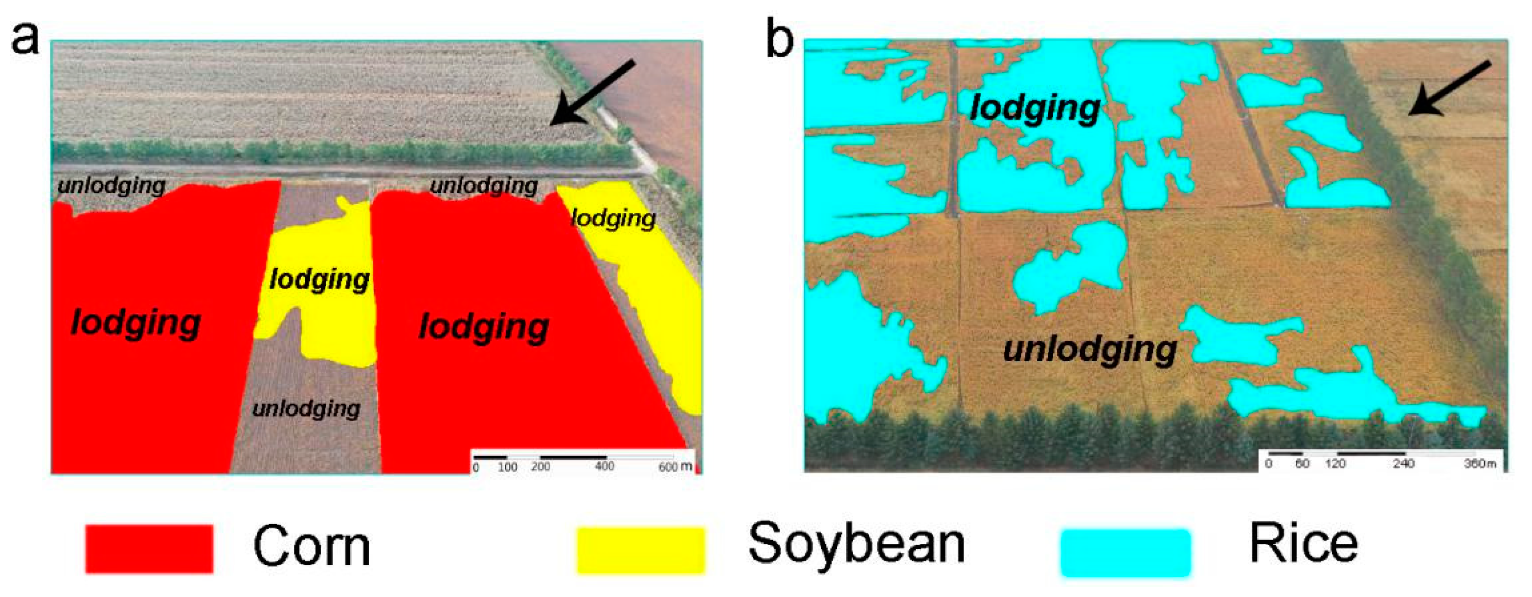 Agriculture 11 00995 g008