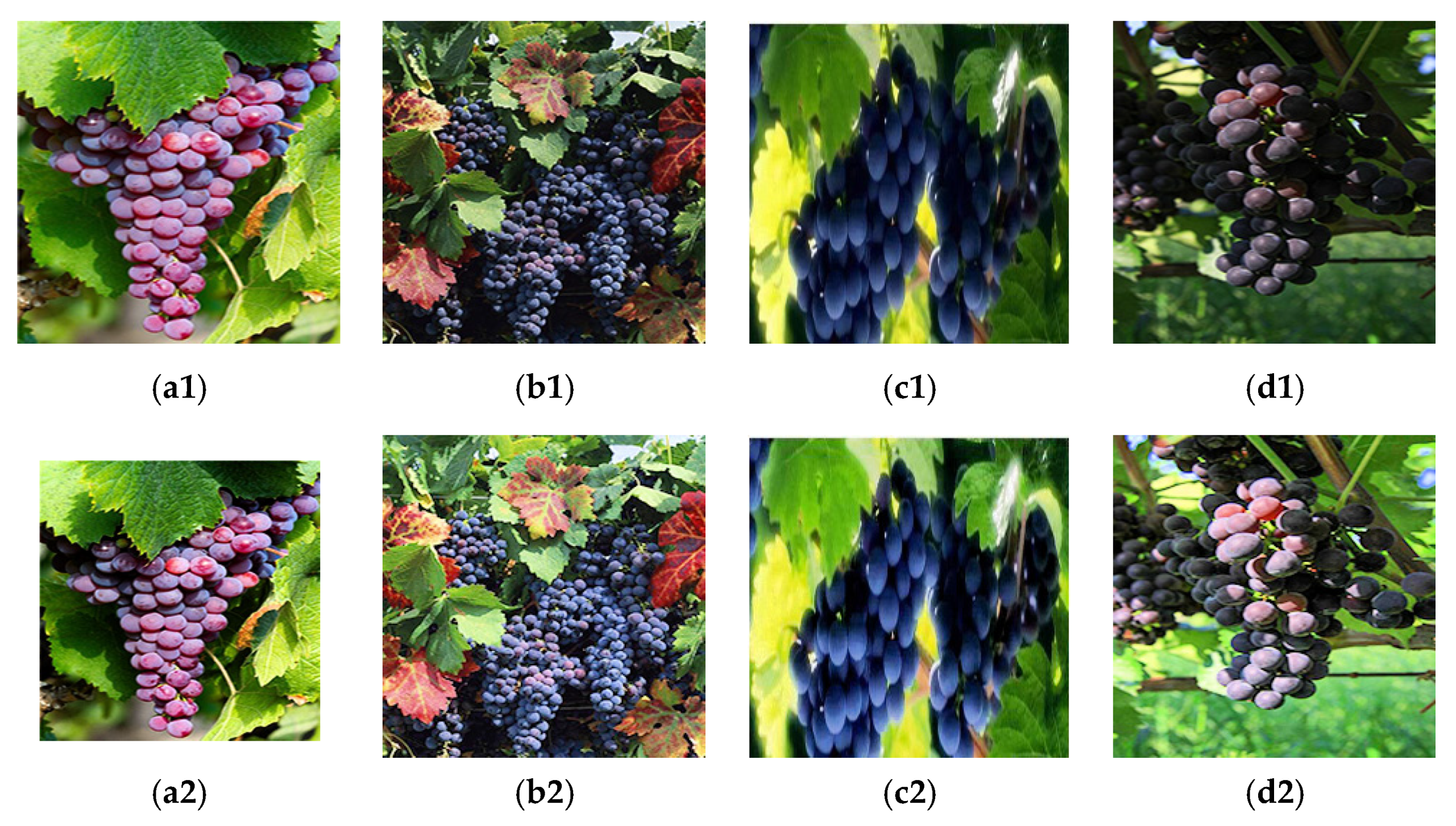 Agriculture 11 00997 g006