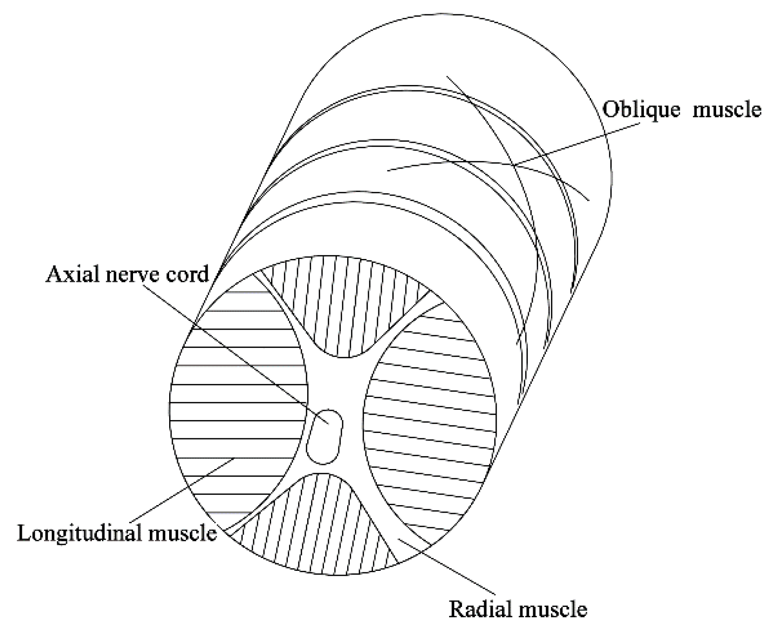 Agriculture 11 01014 g001