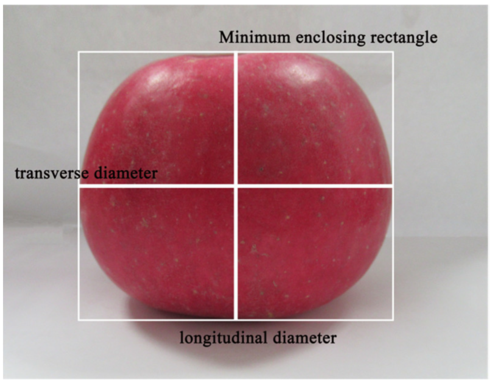 Agriculture 11 01014 g002