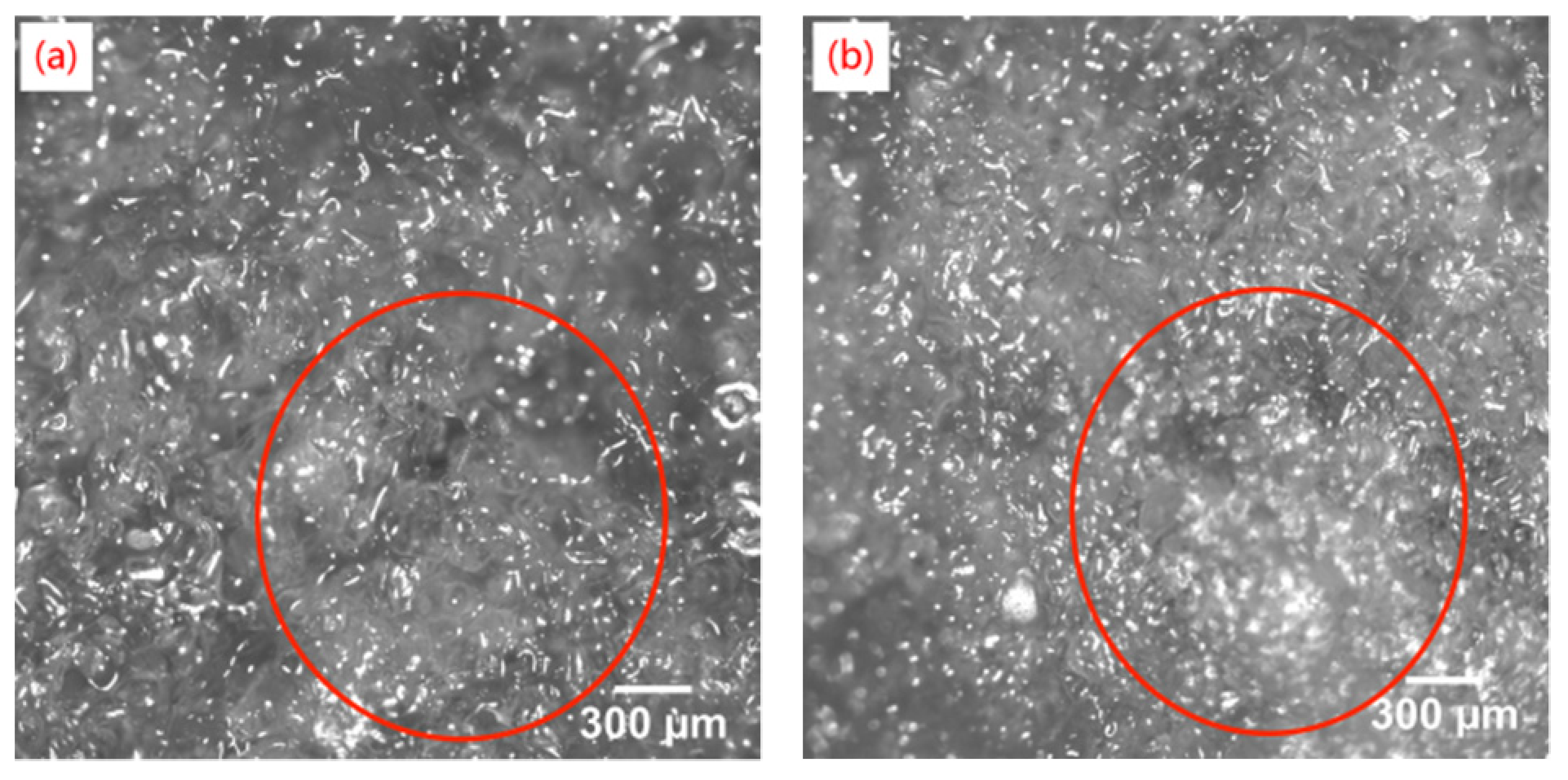 Agriculture 11 01014 g014