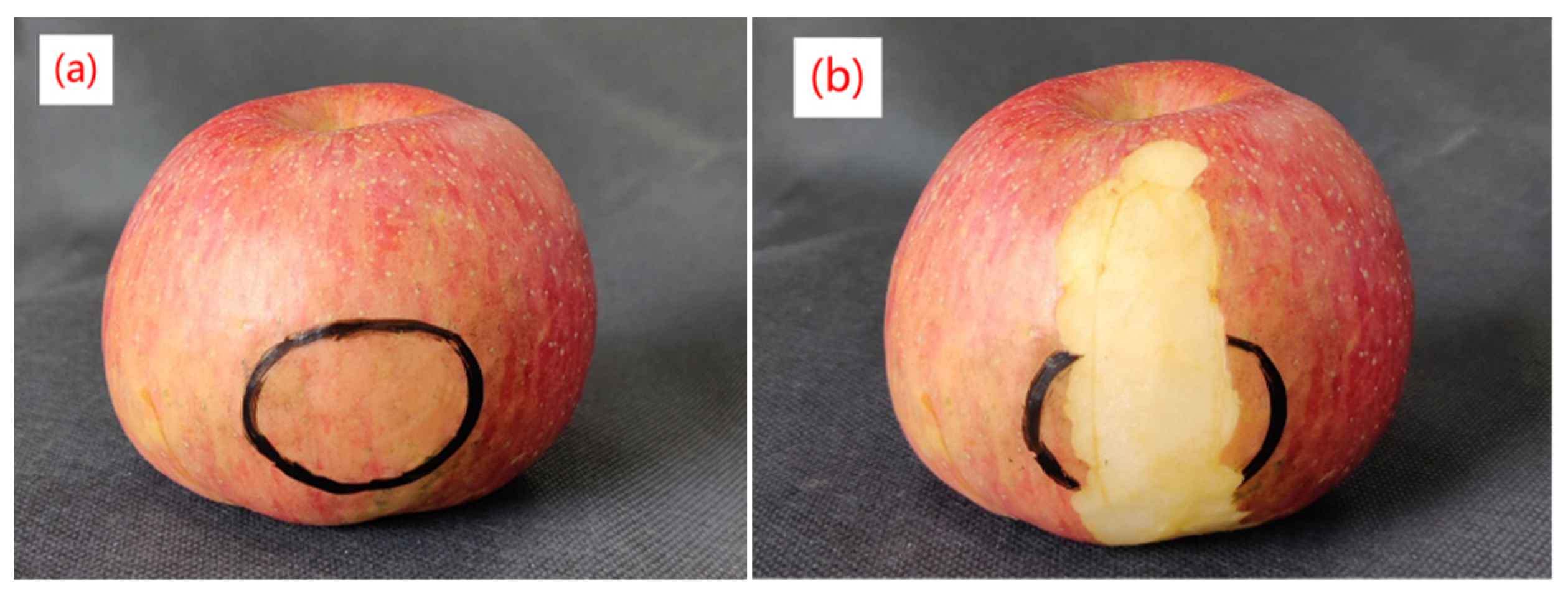 Agriculture 11 01014 g015