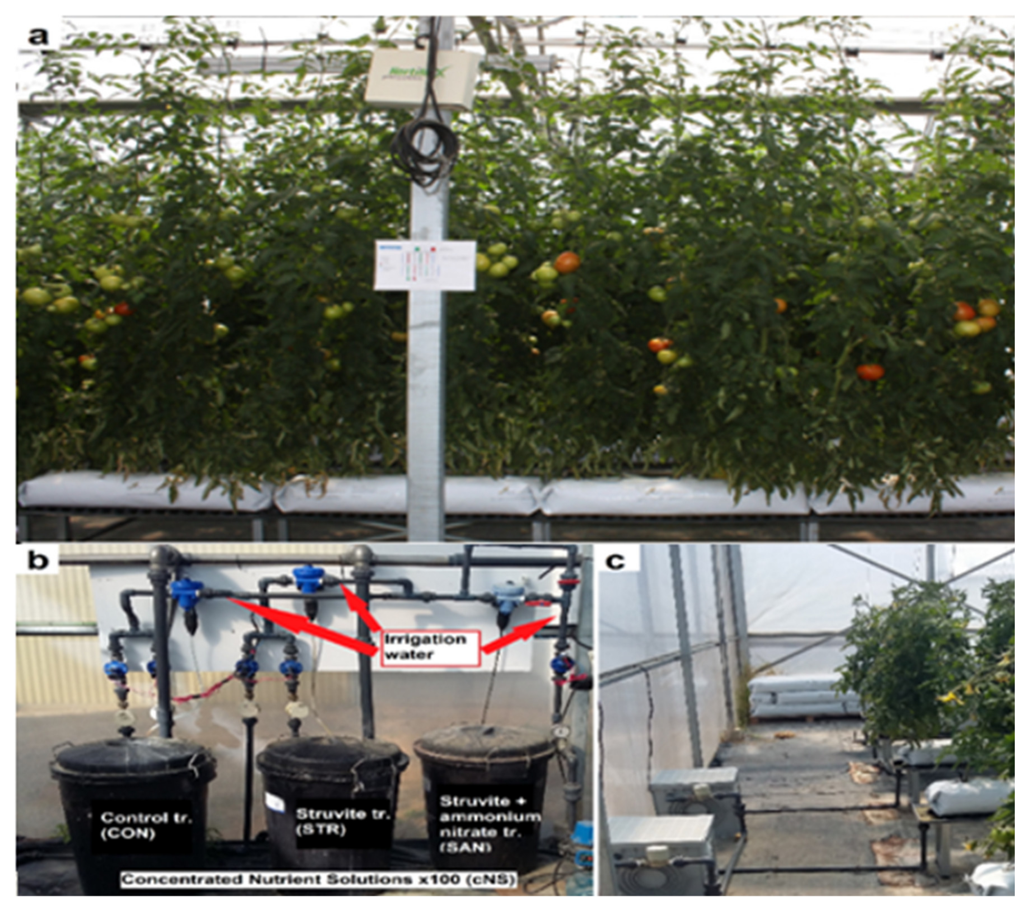 Agriculture 11 01063 g001