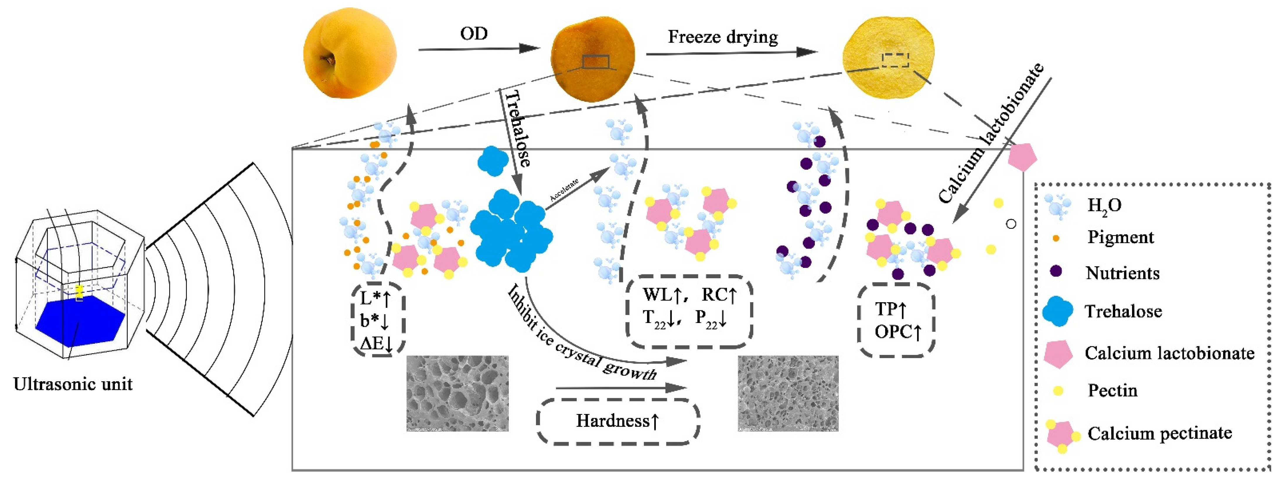 Agriculture 11 01069 g006