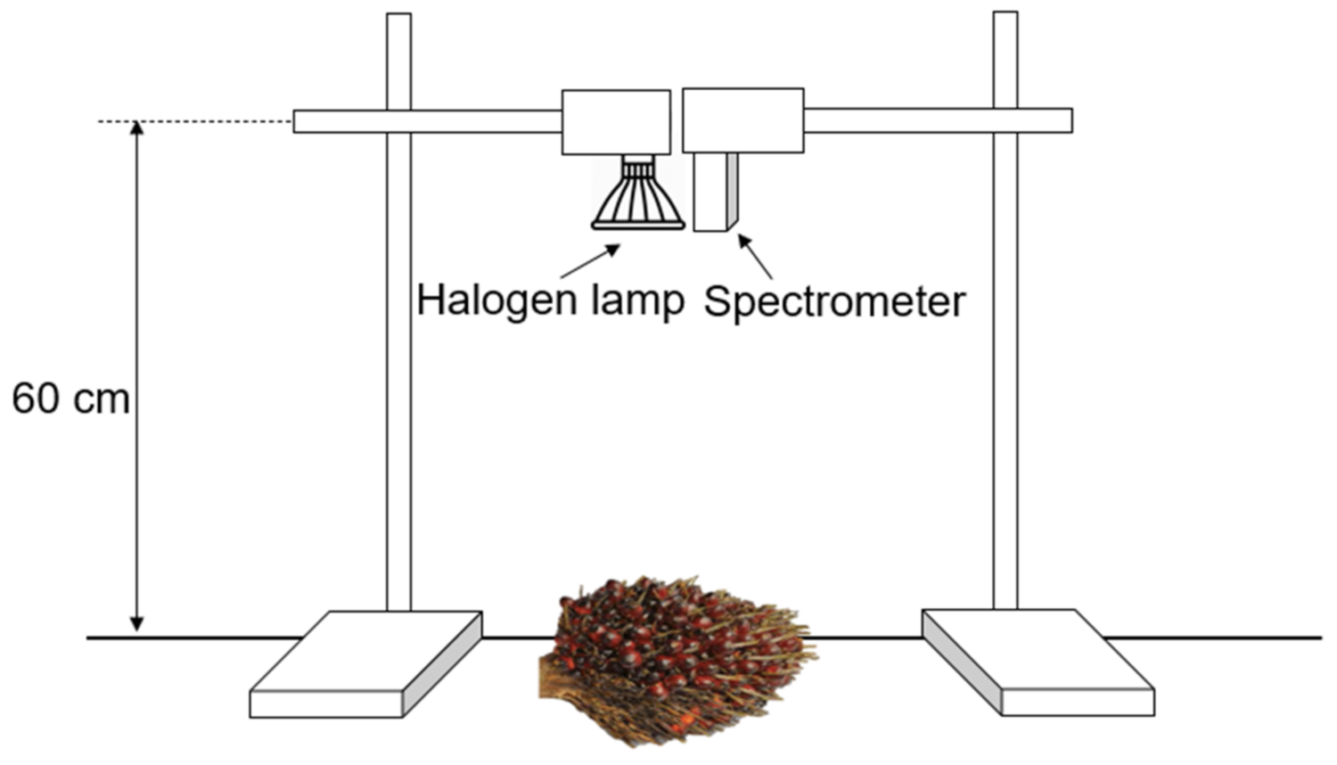 Agriculture 11 01179 g002