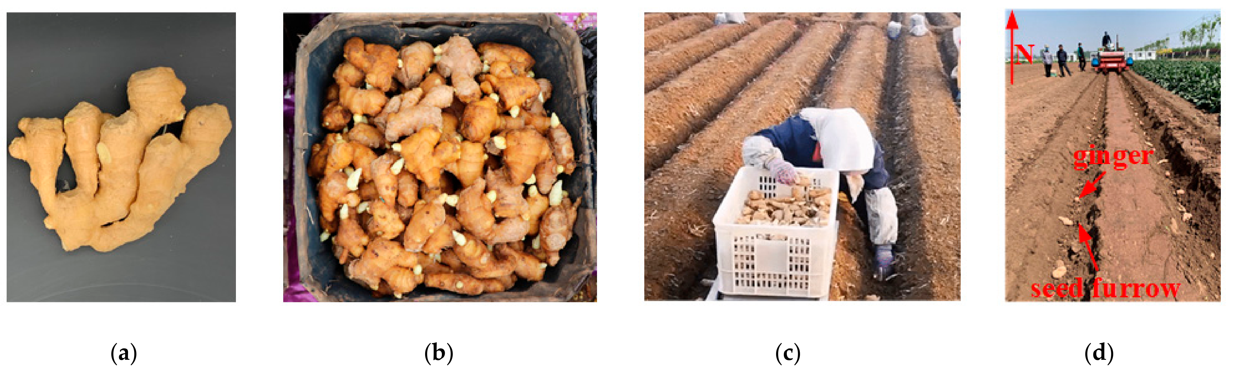 Agriculture 11 01190 g001