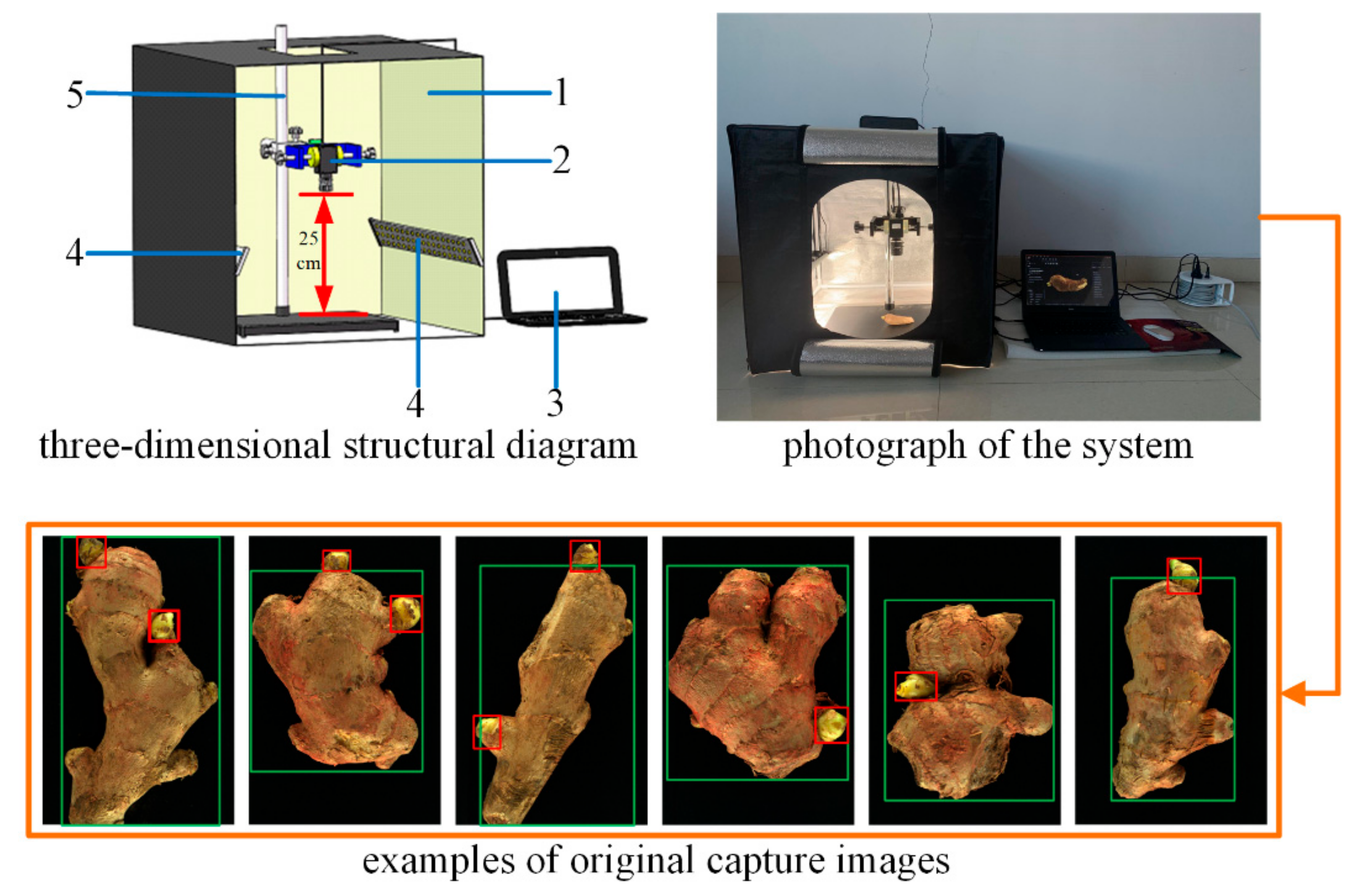 Agriculture 11 01190 g002