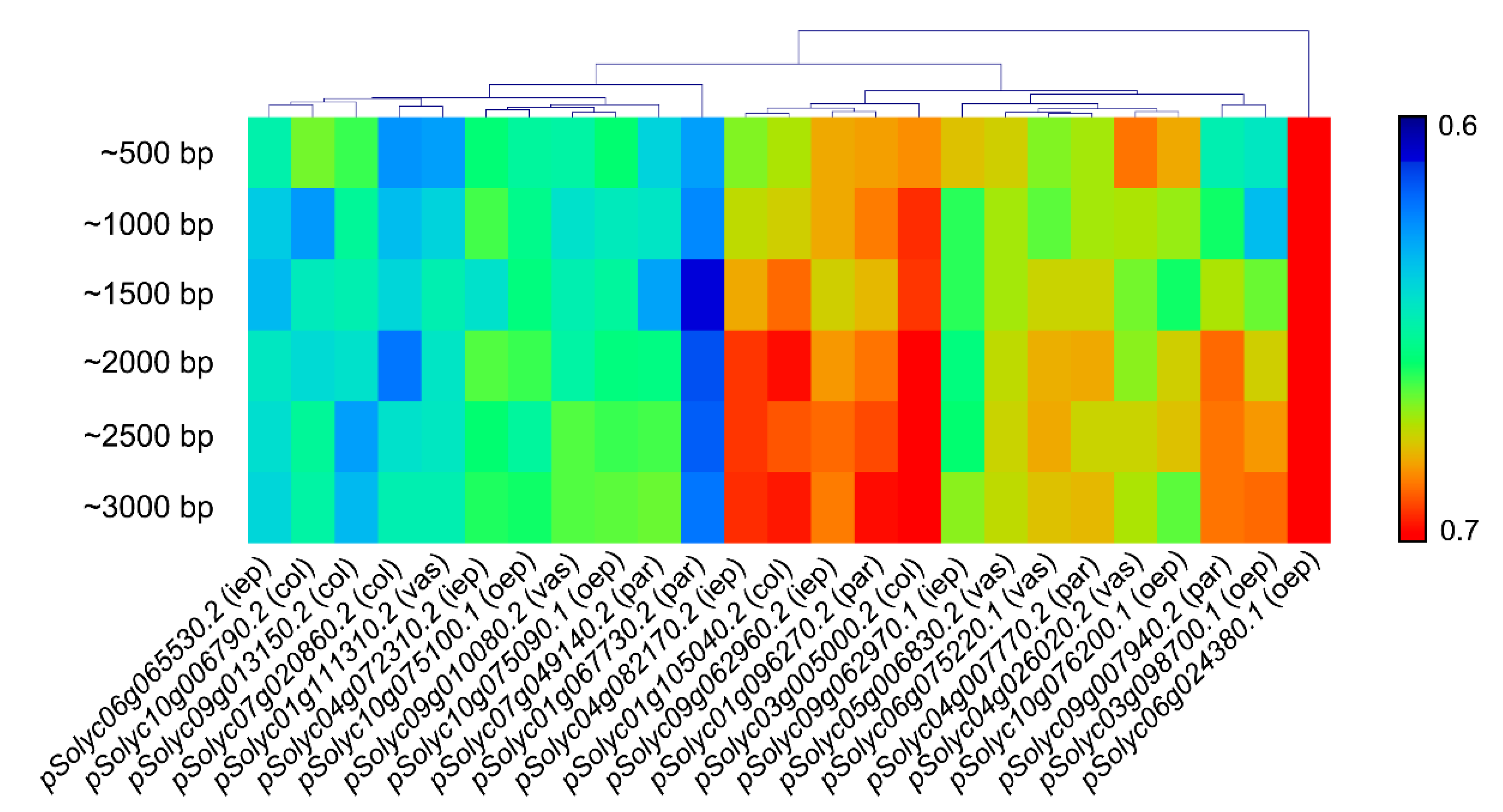 Agriculture 11 01195 g003