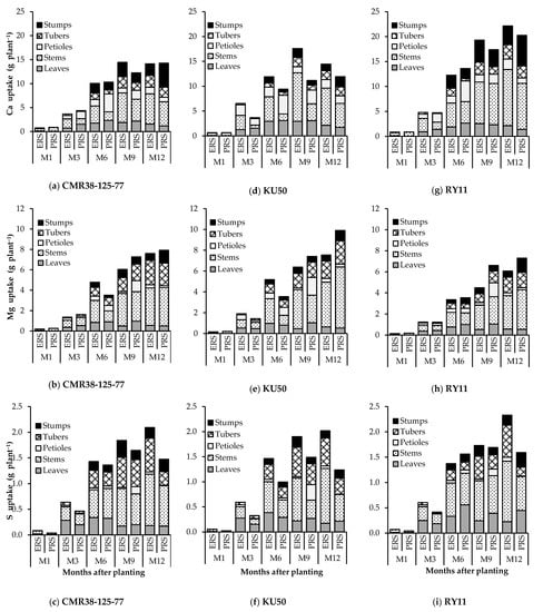 Agriculture 11 01199 g005 550