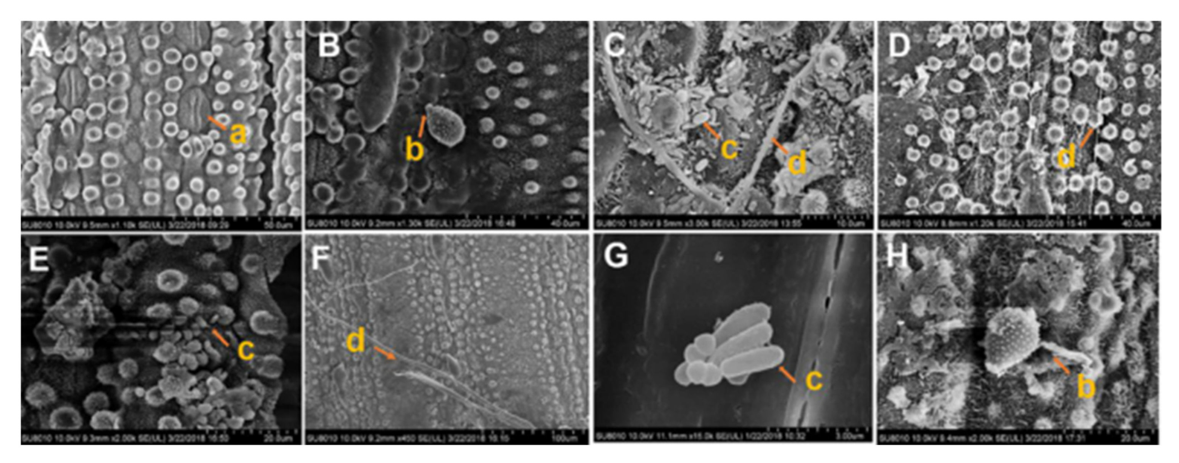 Agriculture 11 01200 g003