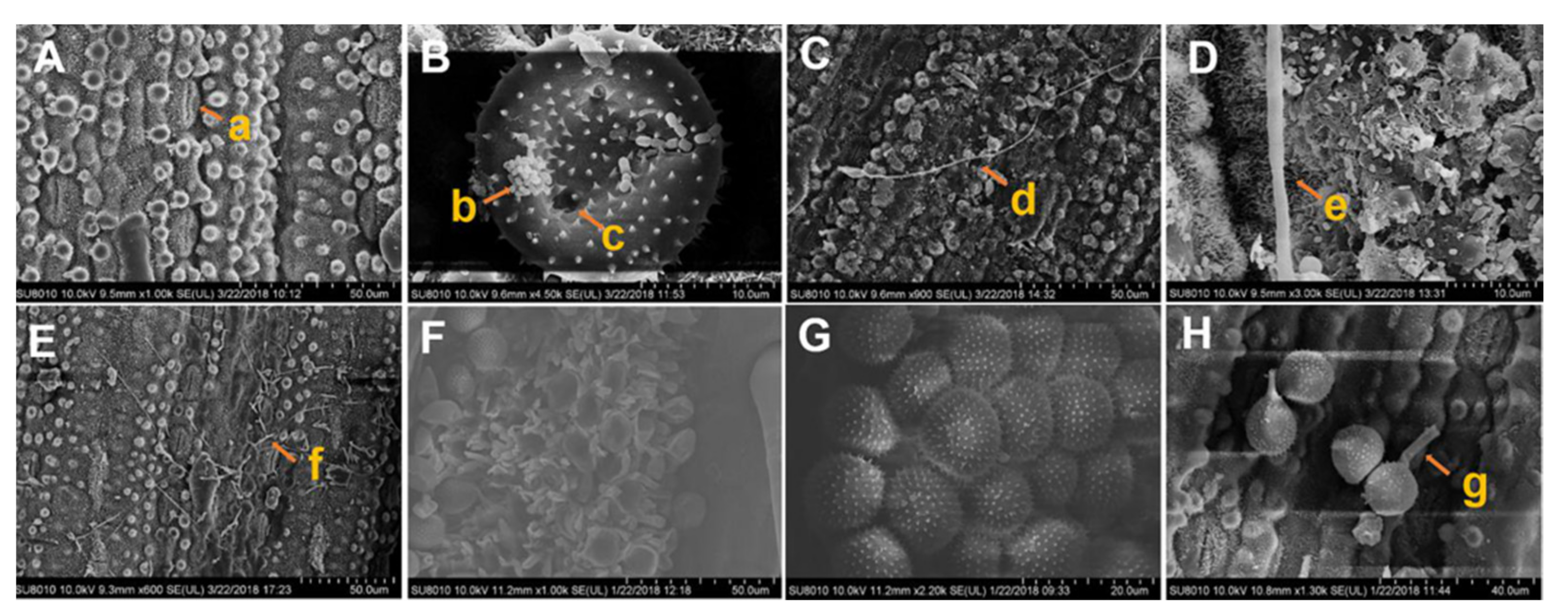 Agriculture 11 01200 g004