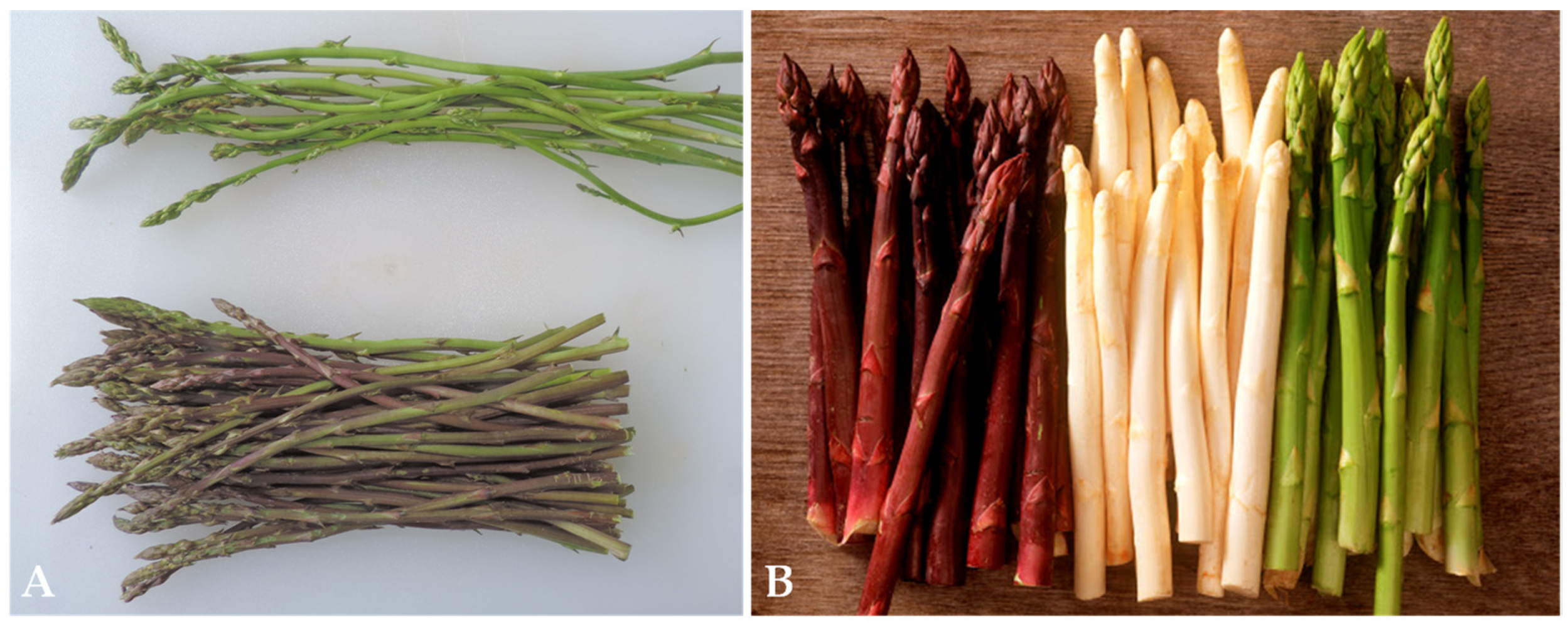 Agriculture 11 01213 g001