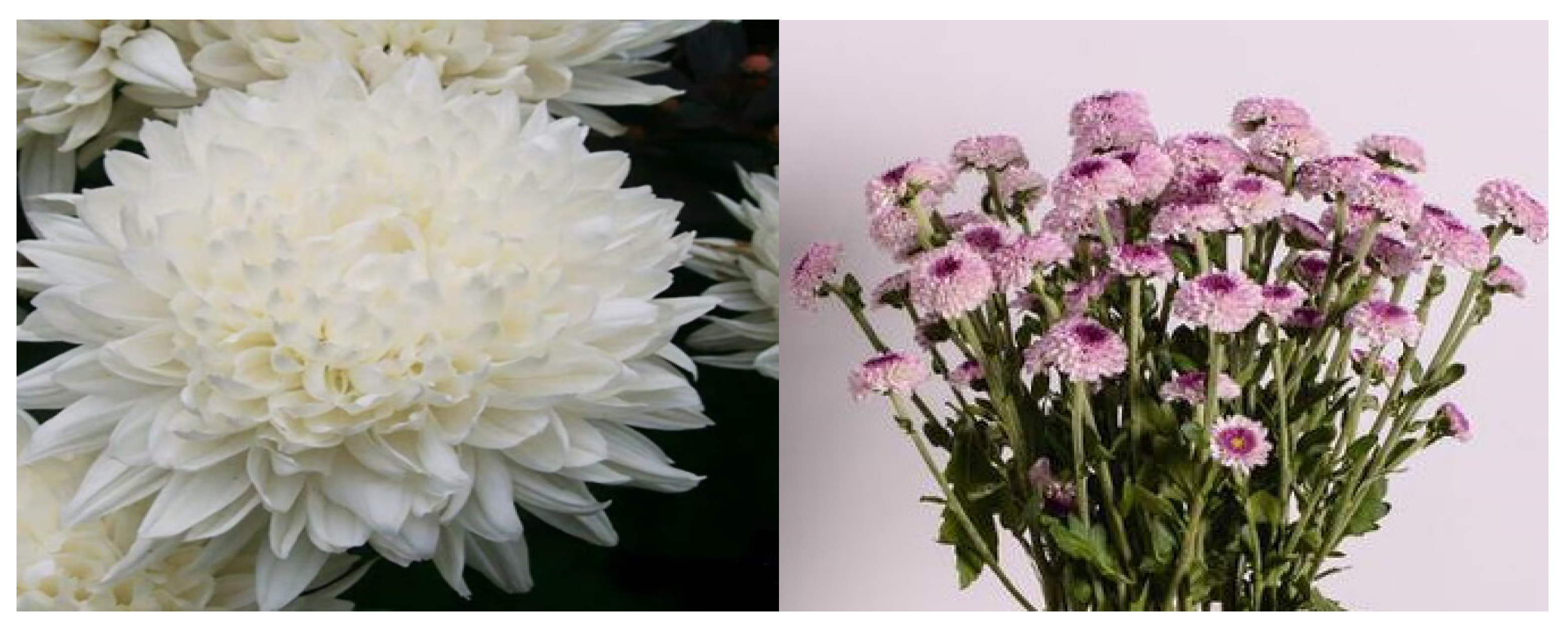 Agriculture 11 01221 g001