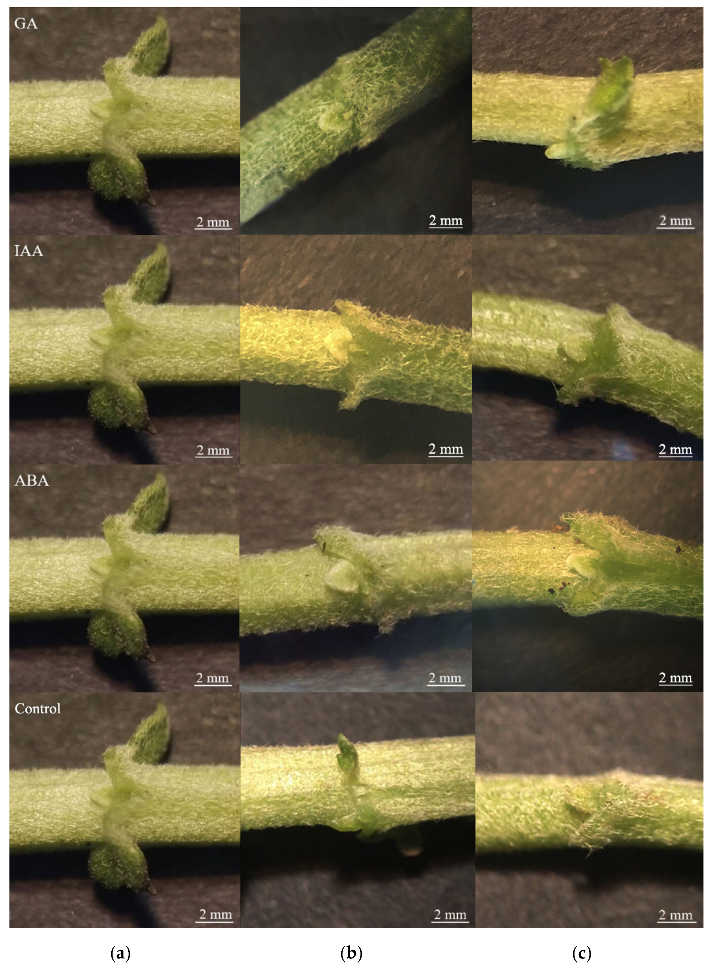 Agriculture 11 01221 g002