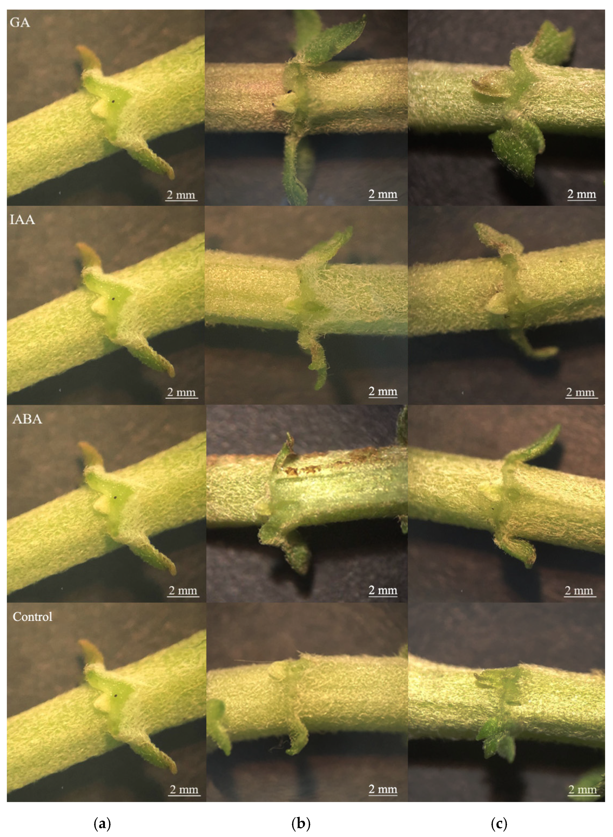 Agriculture 11 01221 g003