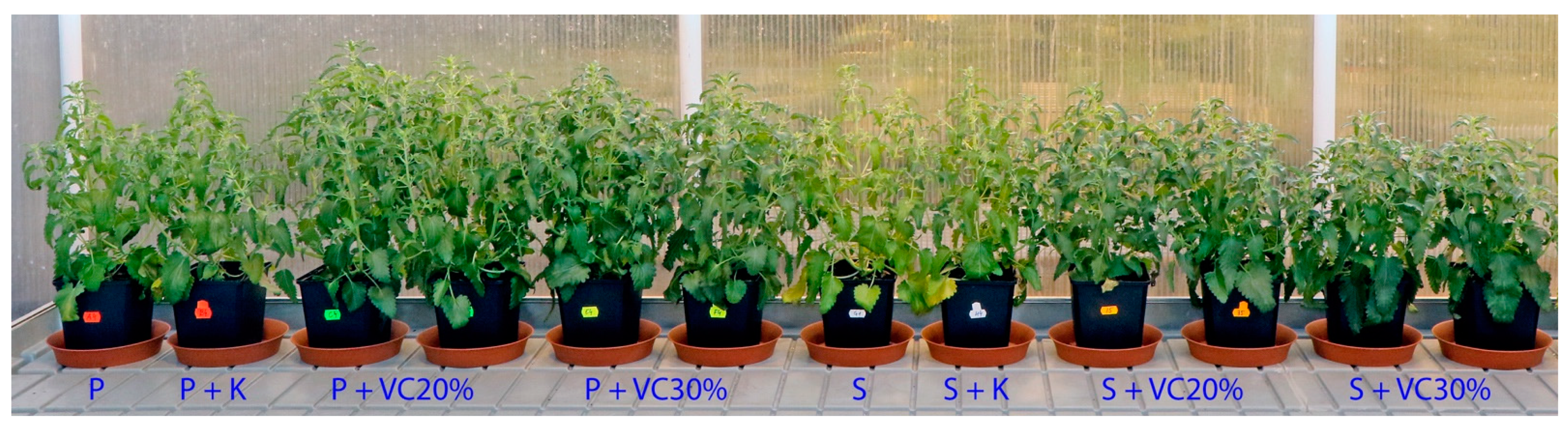 Agriculture 11 01231 g003