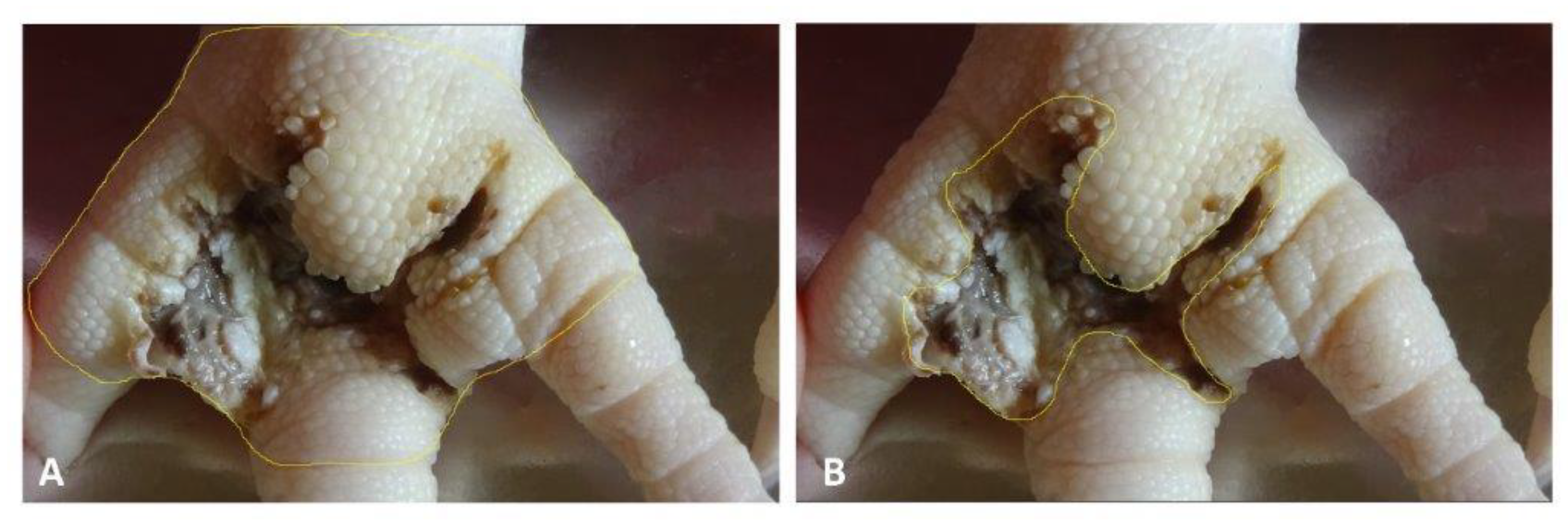 Agriculture 11 01235 g001