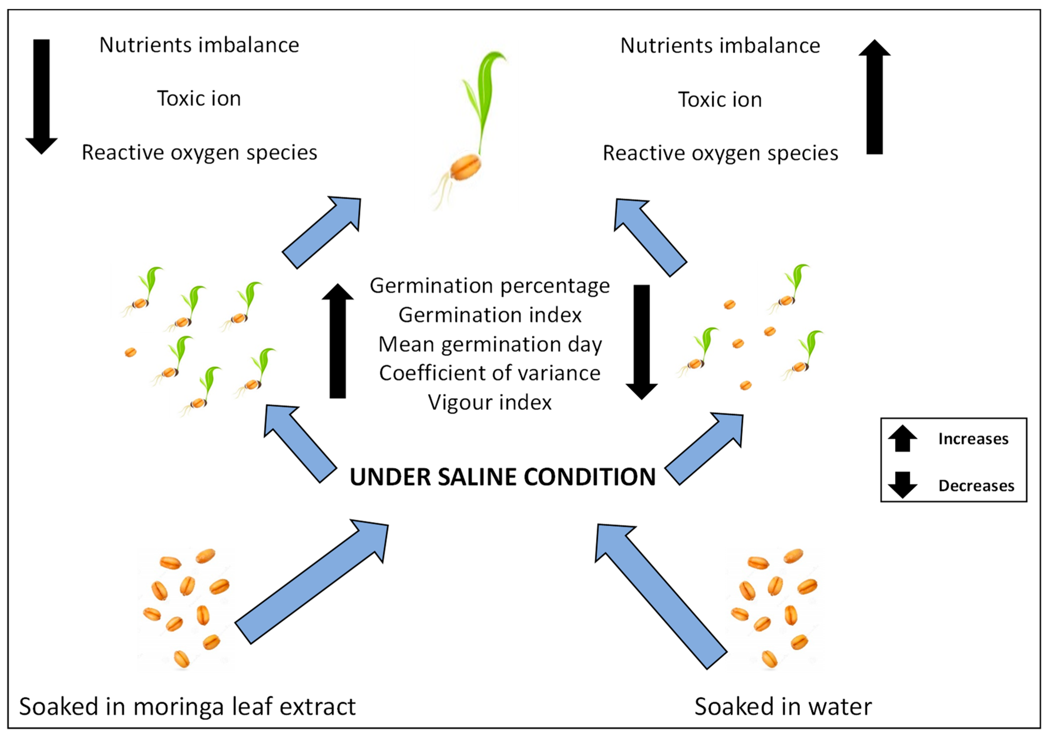 Agriculture 11 01254 g004