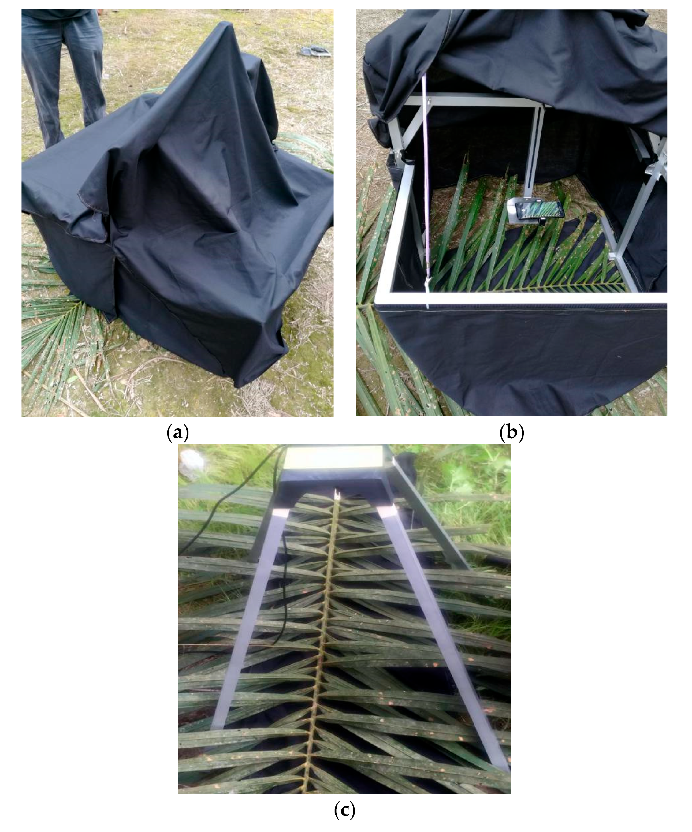 Agriculture 11 01265 g008