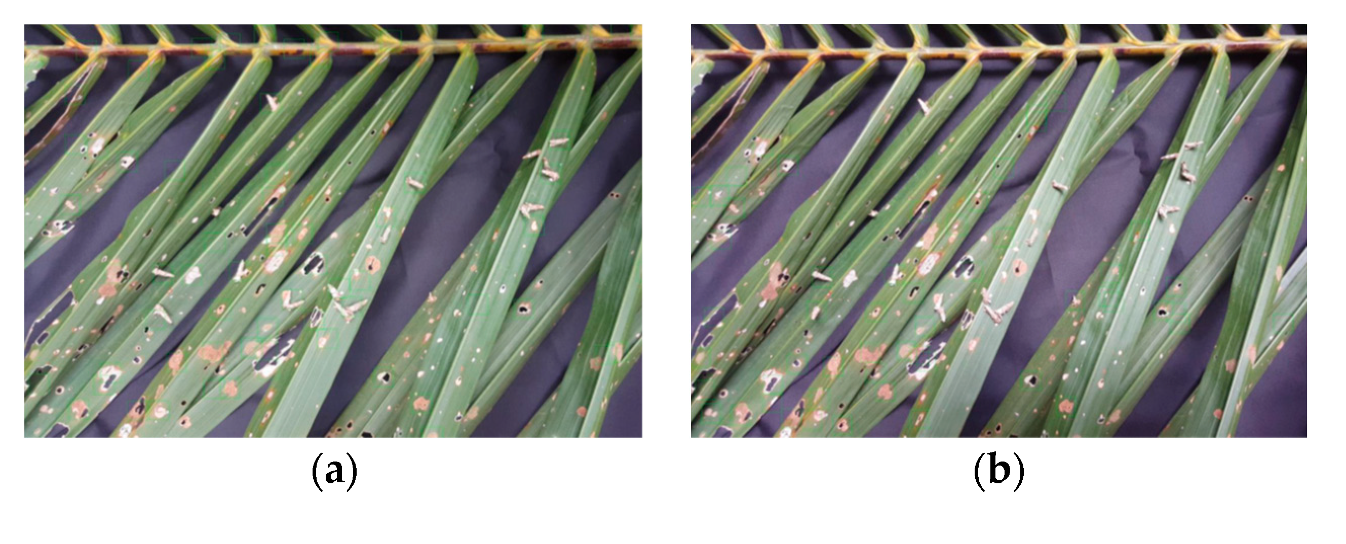 Agriculture 11 01265 g009a