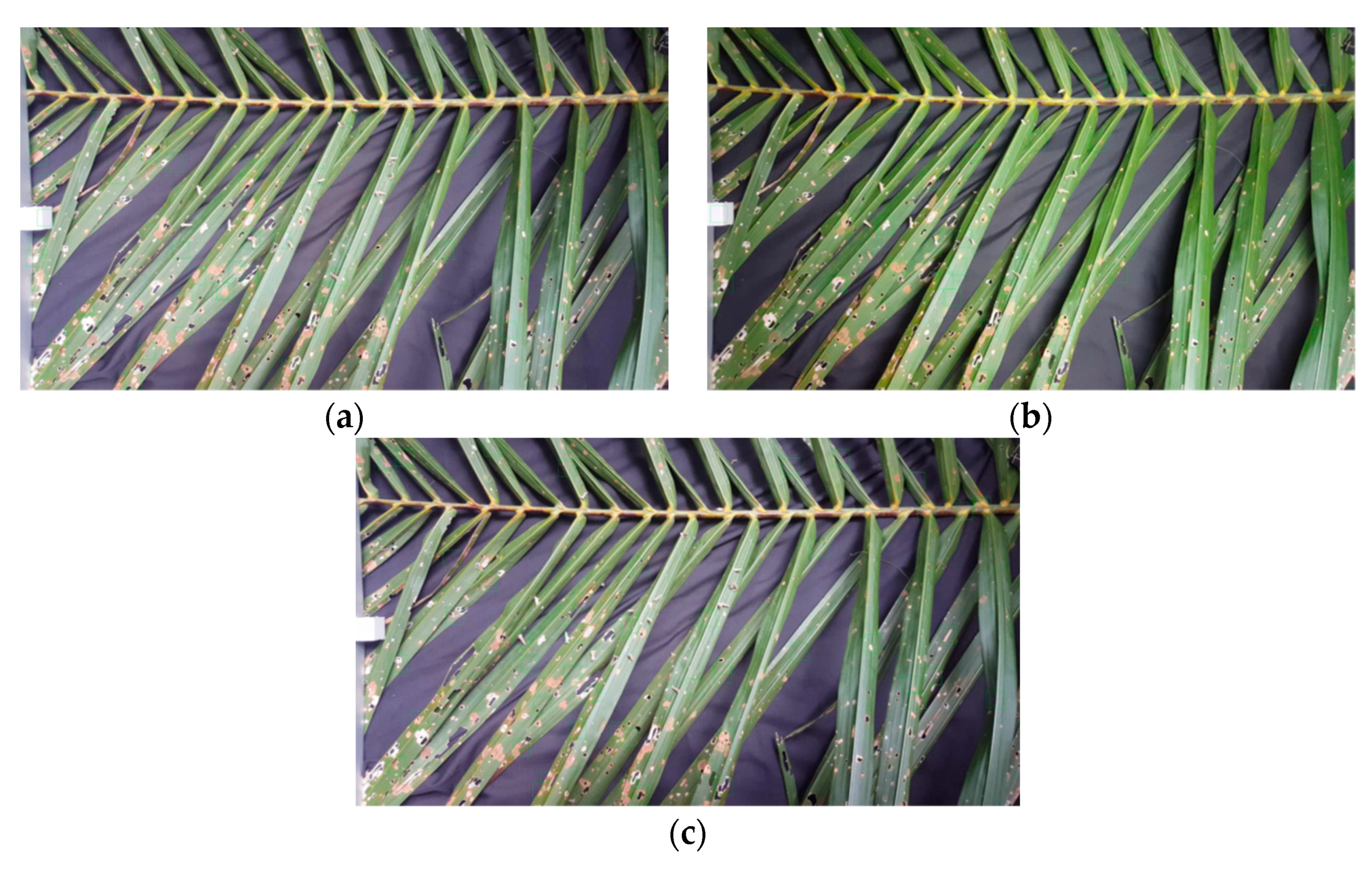 Agriculture 11 01265 g010