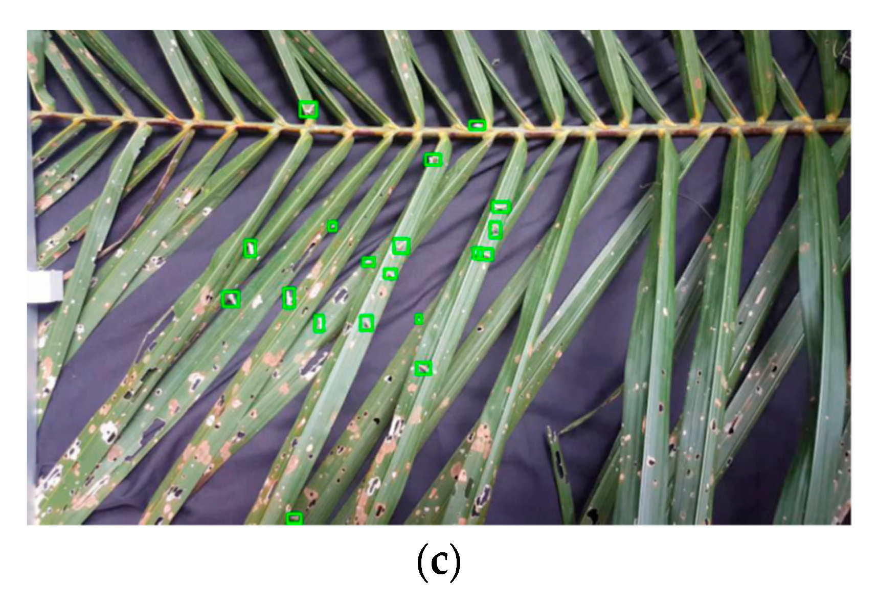 Agriculture 11 01265 g013b