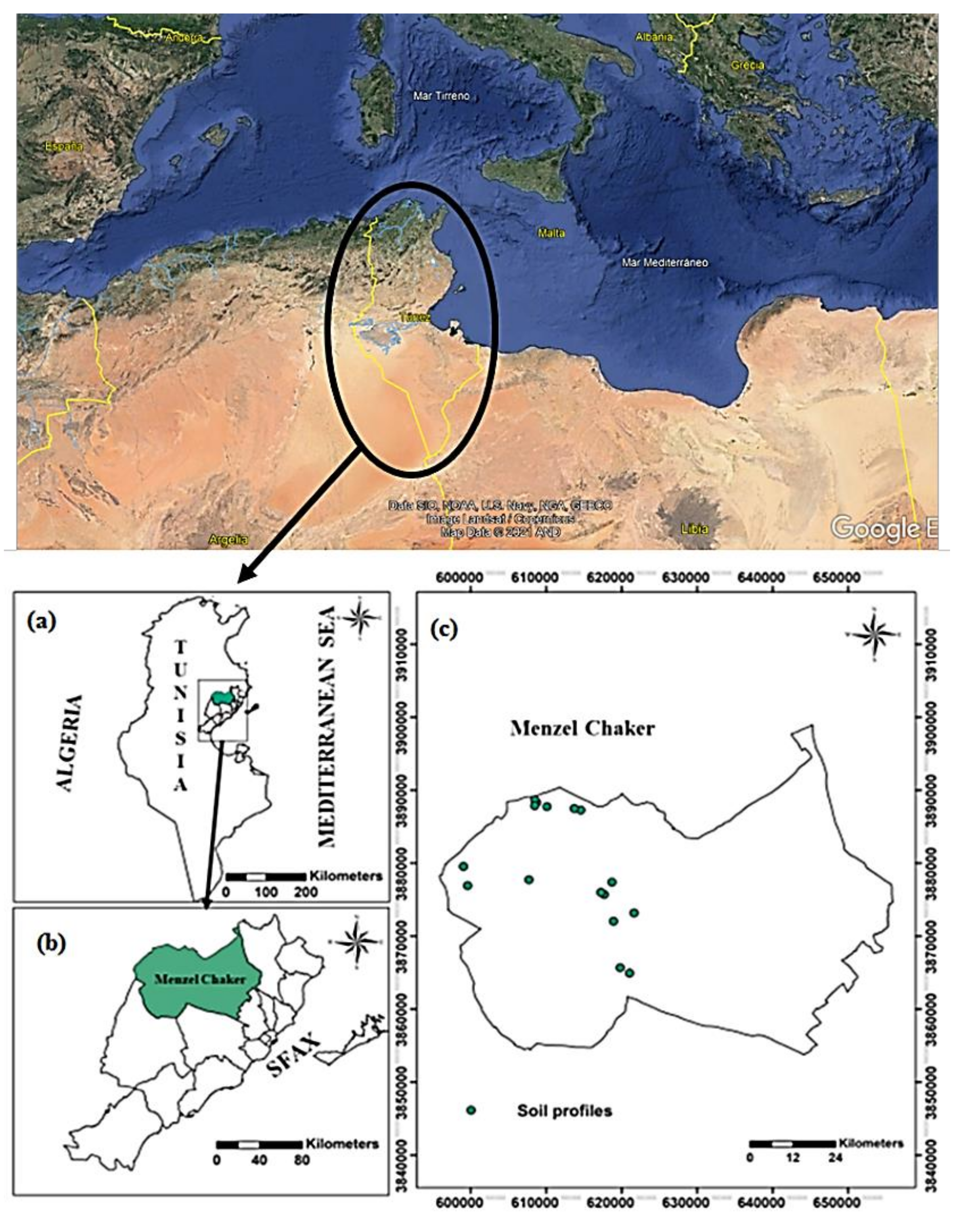 Agriculture 11 01267 g001