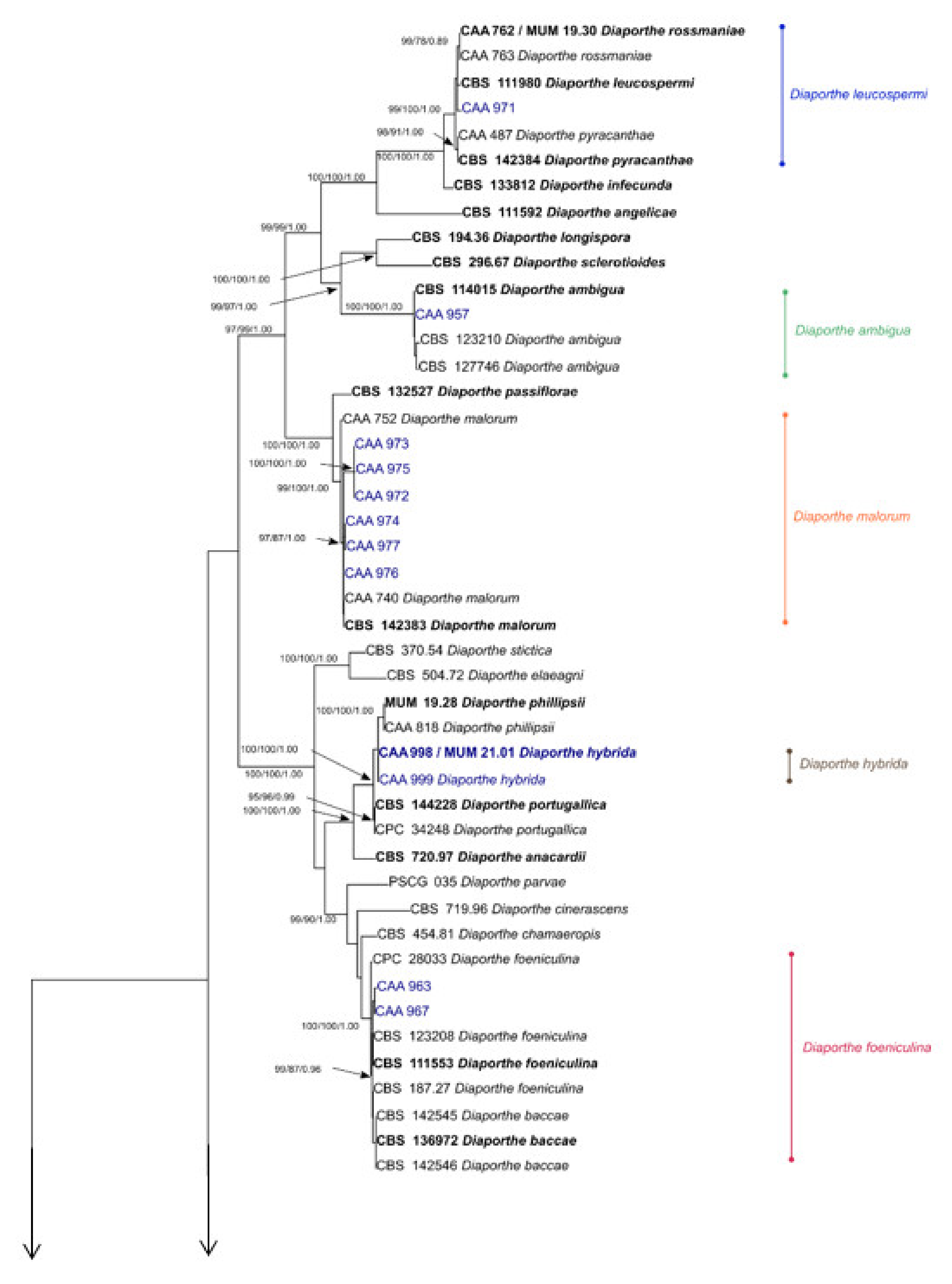 Agriculture 11 01271 g003a