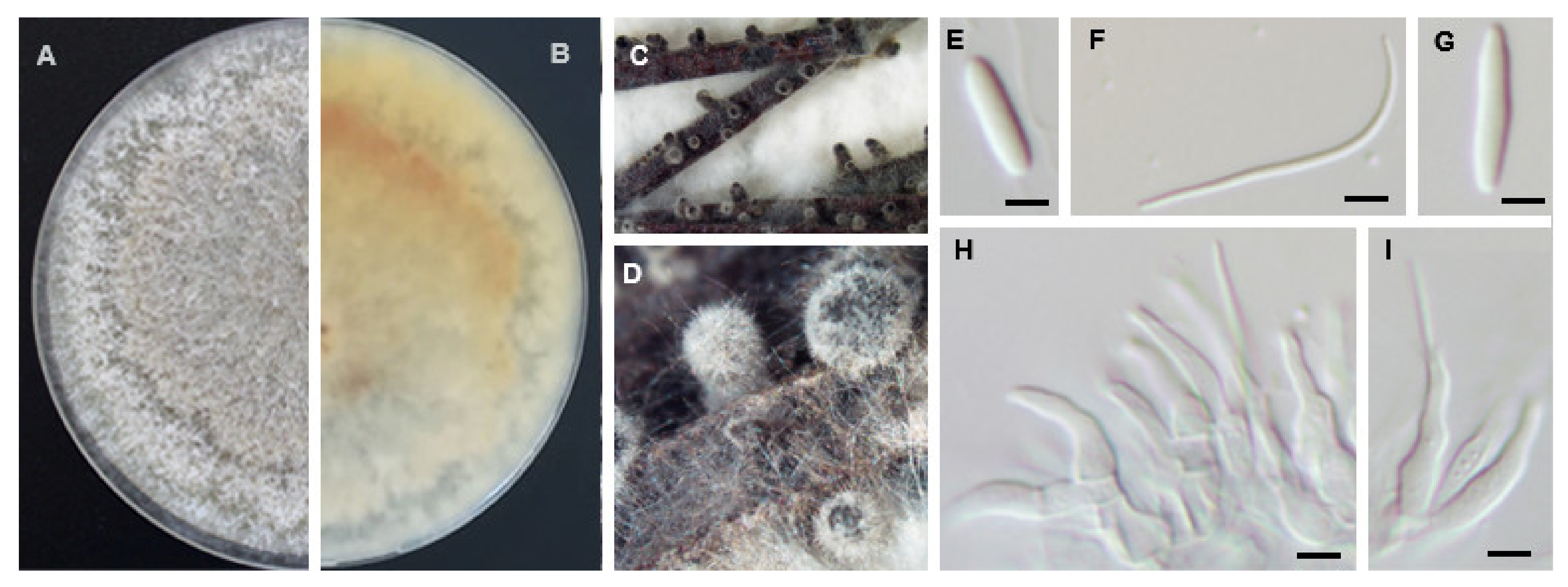 Agriculture 11 01271 g009