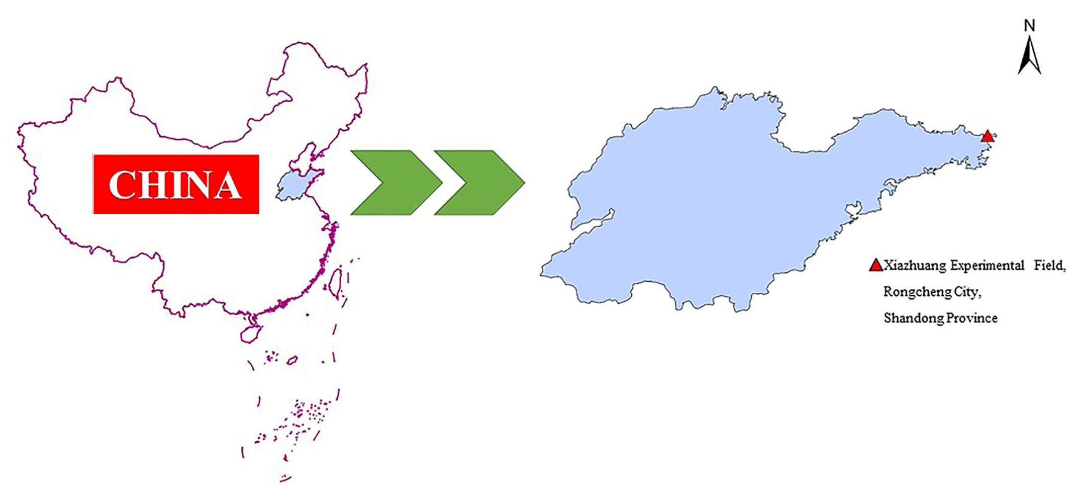 Agriculture 11 01276 g001