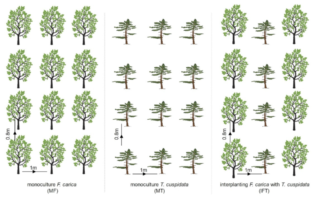 Agriculture 11 01276 g002